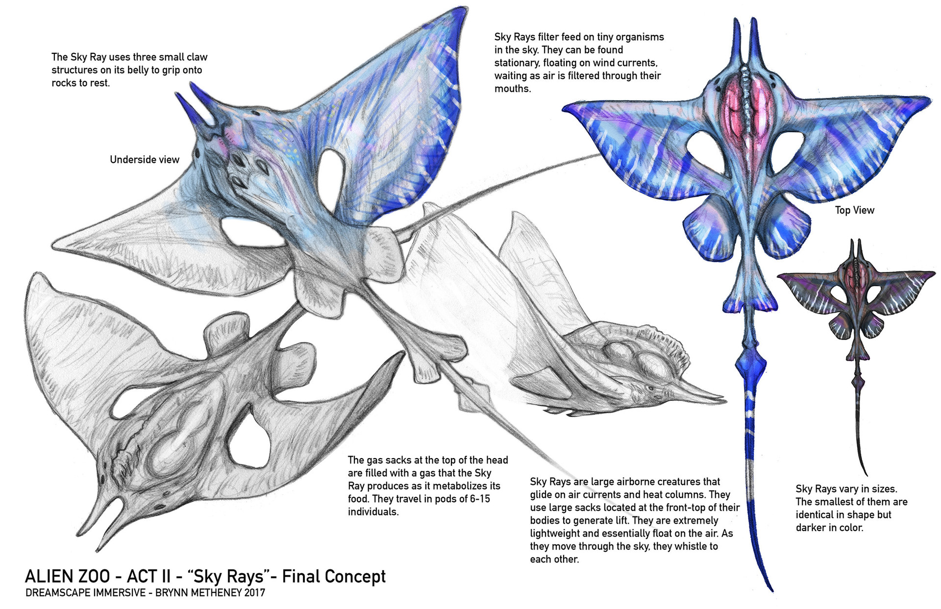 brynn-metheney-alienzoo-skyrays-finalconcept-brynnmetheney.jpg