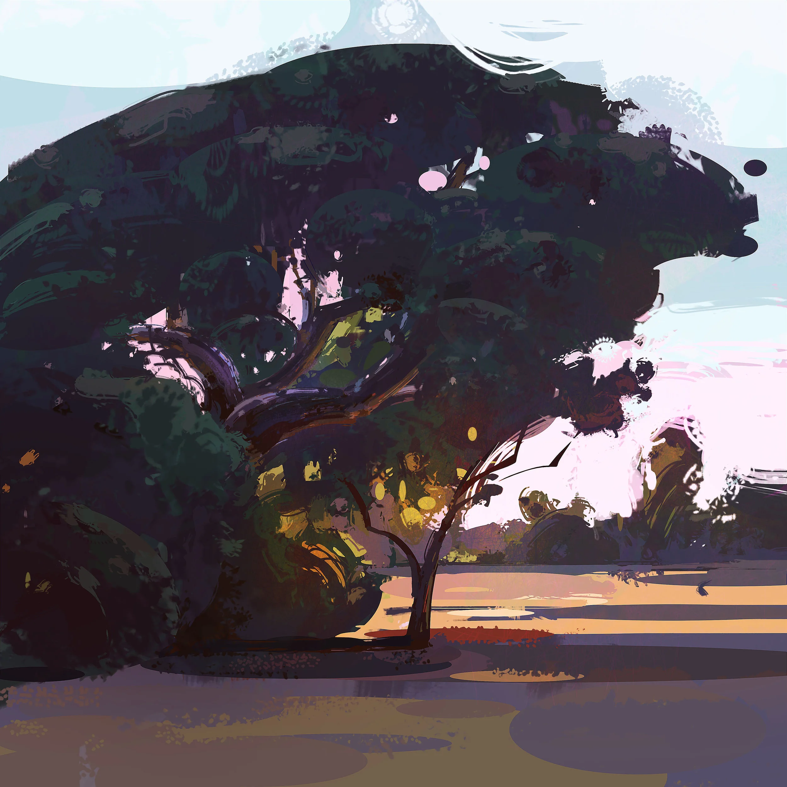 tree_study_loscarneros_6.jpg