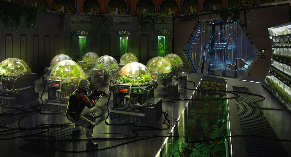 Andre Balmet_hydroponics.jpg