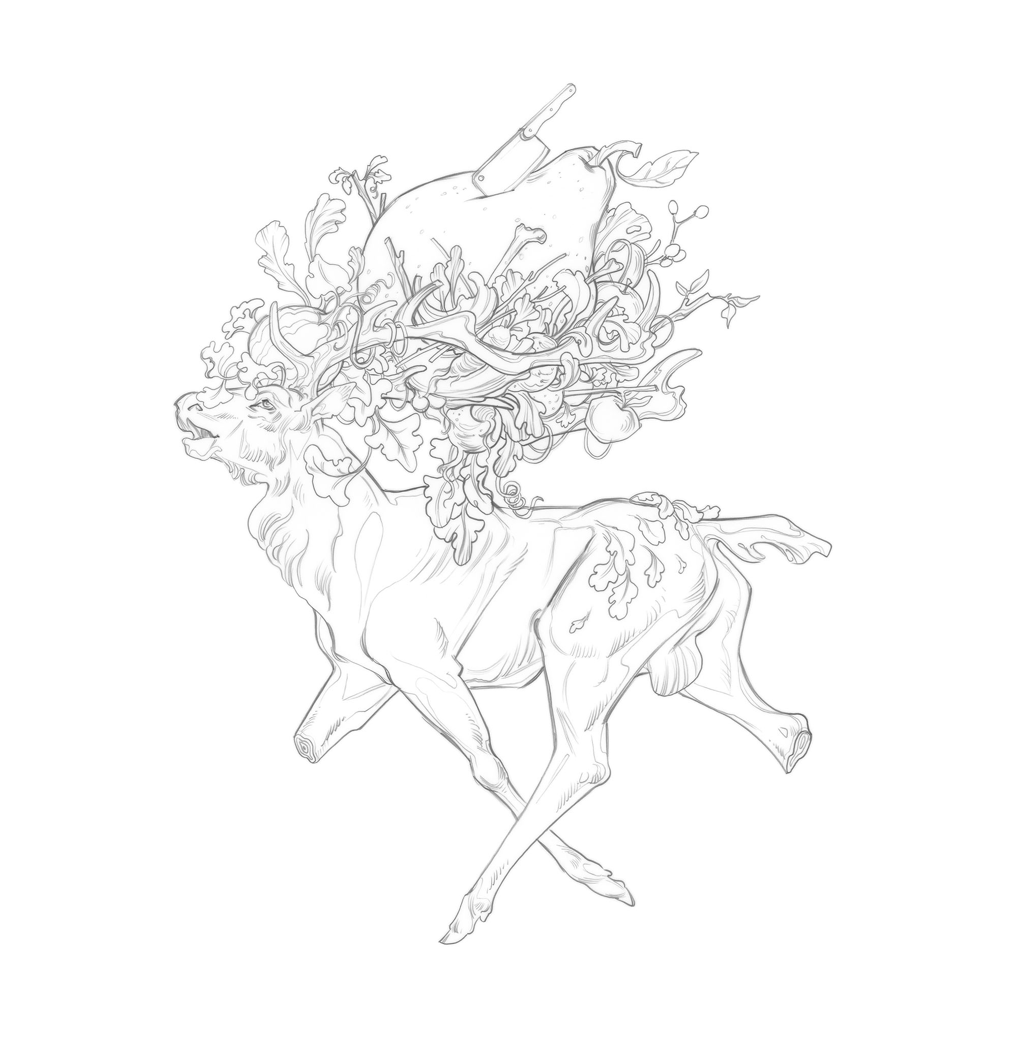 woodenstag_frontcover_whitedrawing_JAWCooper copy.jpg