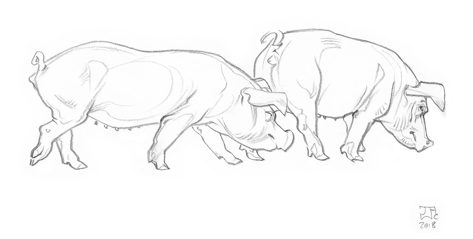 croatiapiggiessketch_jawcooper8.jpg