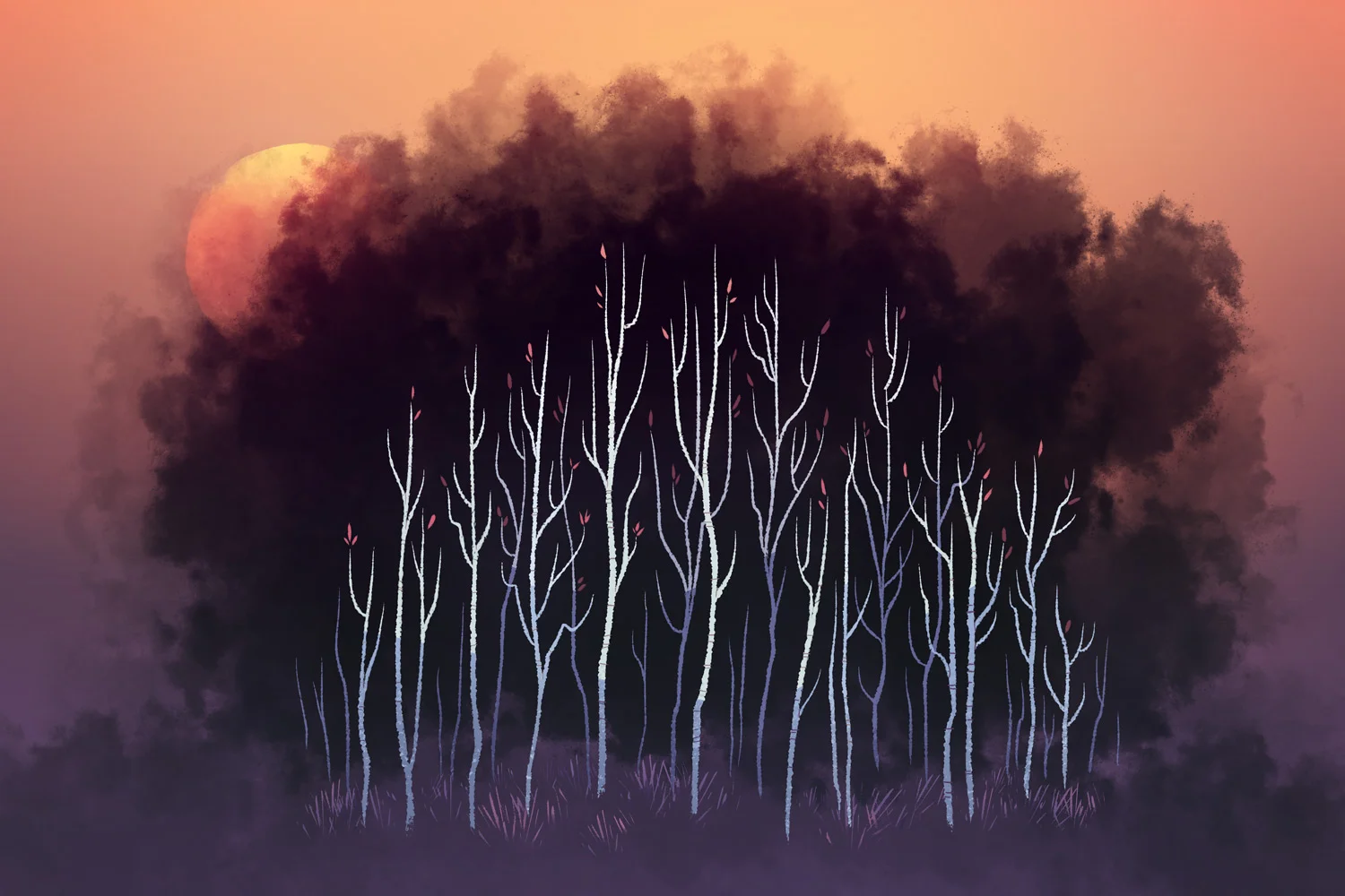 6db_moody_grove.jpg