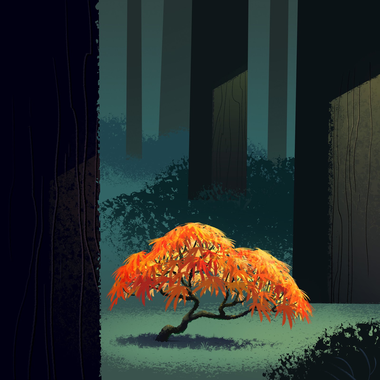 9db_weeping_maple.jpg