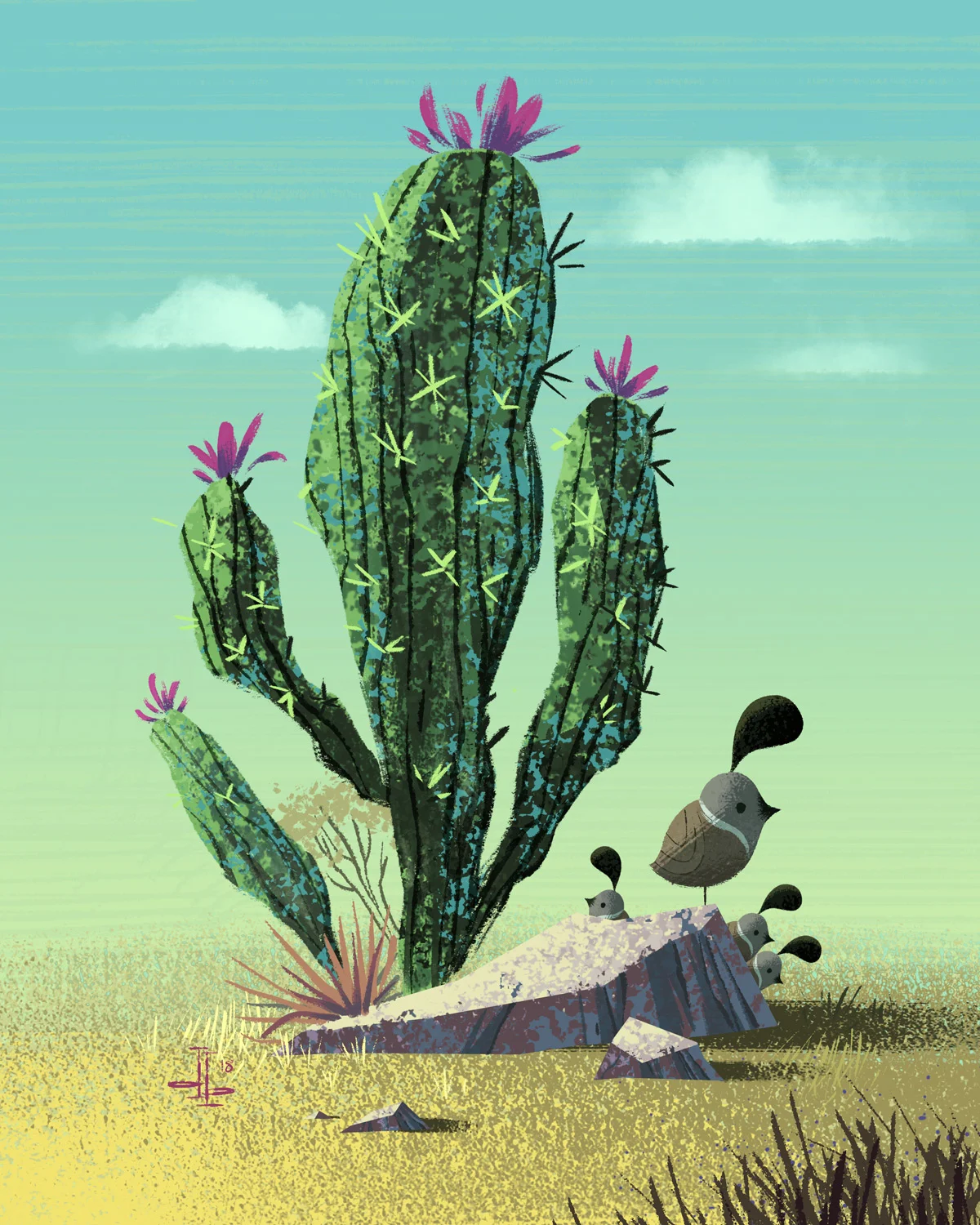 11db_Cactus_Quails.jpg