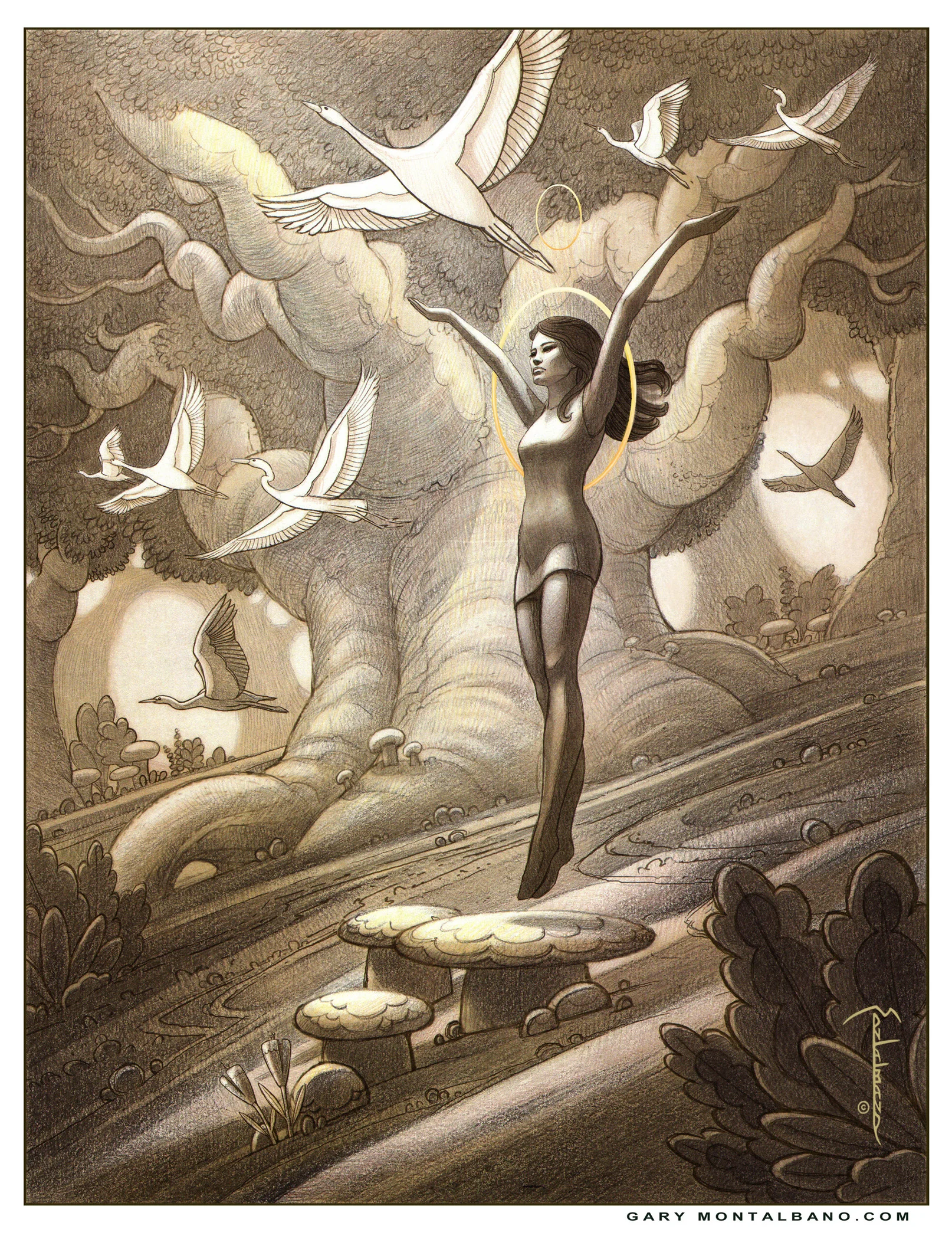 GaryMontalbano-ForestSpirit-LBX.jpg