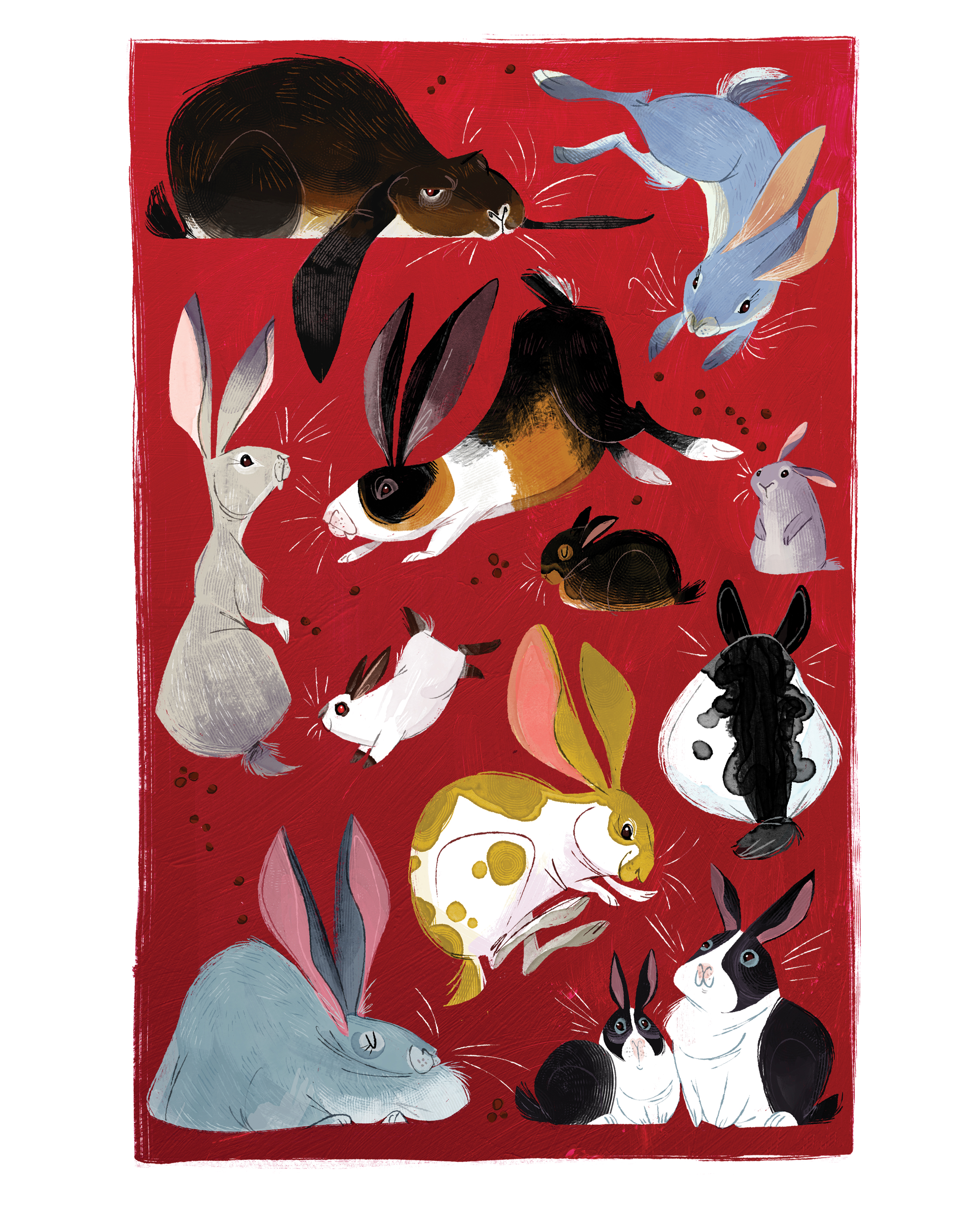 laberis_bunnies.jpg