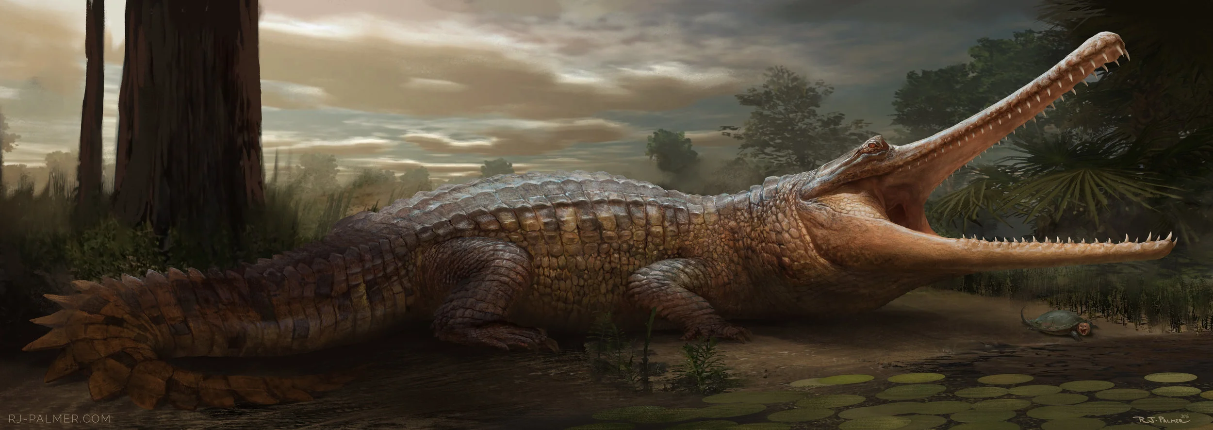 rjpalmer_thoracosaurus_005.jpg