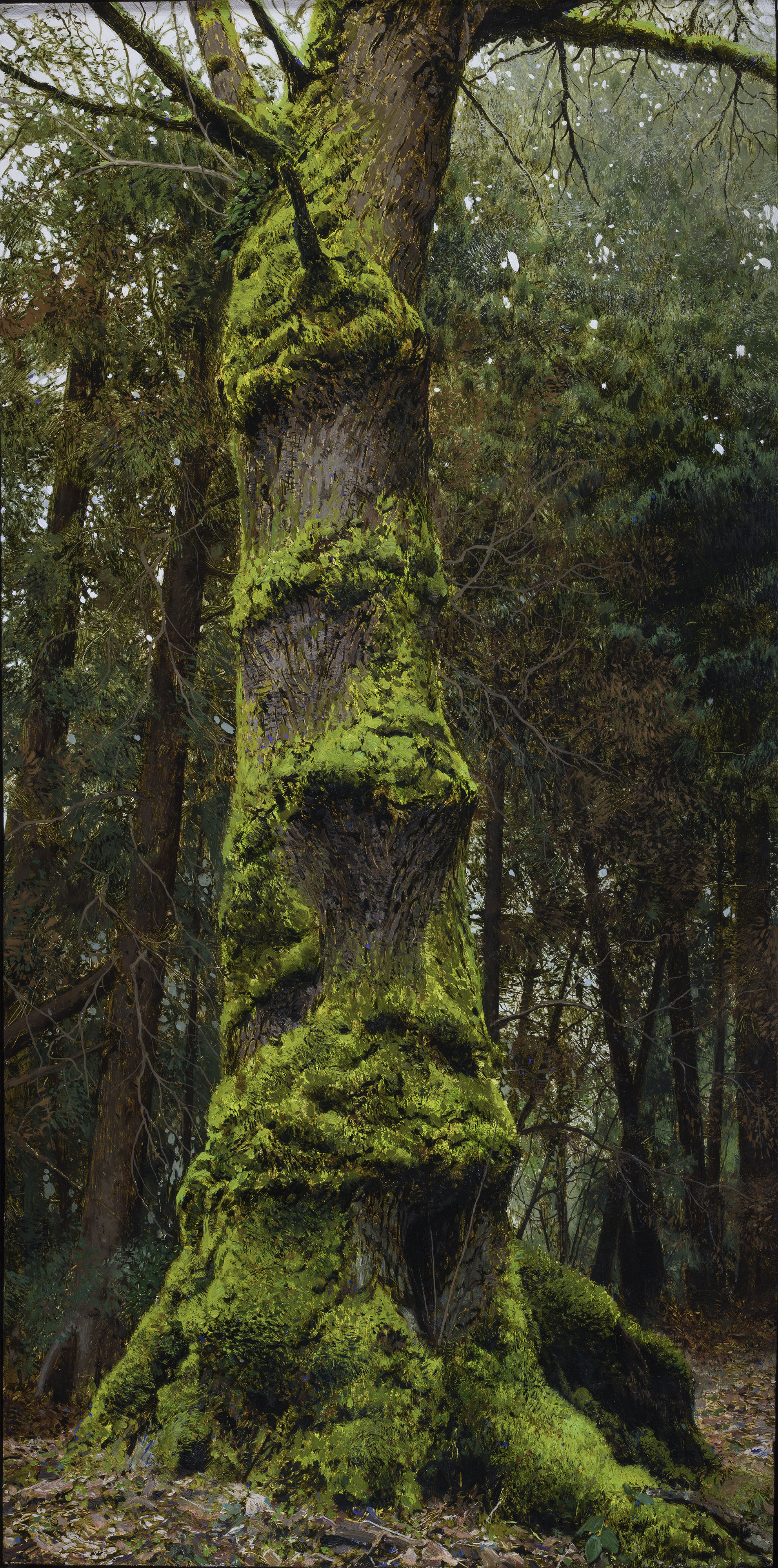 treelatest.jpg
