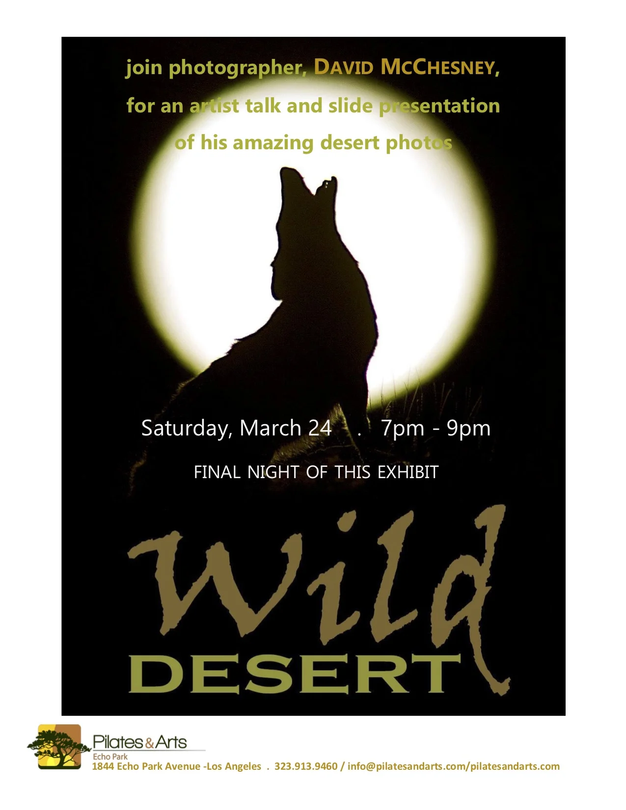 Closing Art Show: Wild Desert with David McChesney