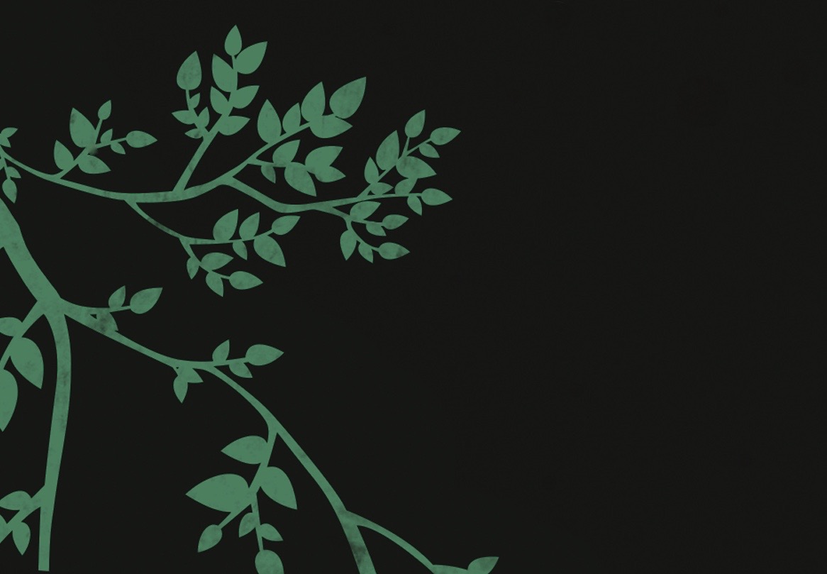 Tree.jpg