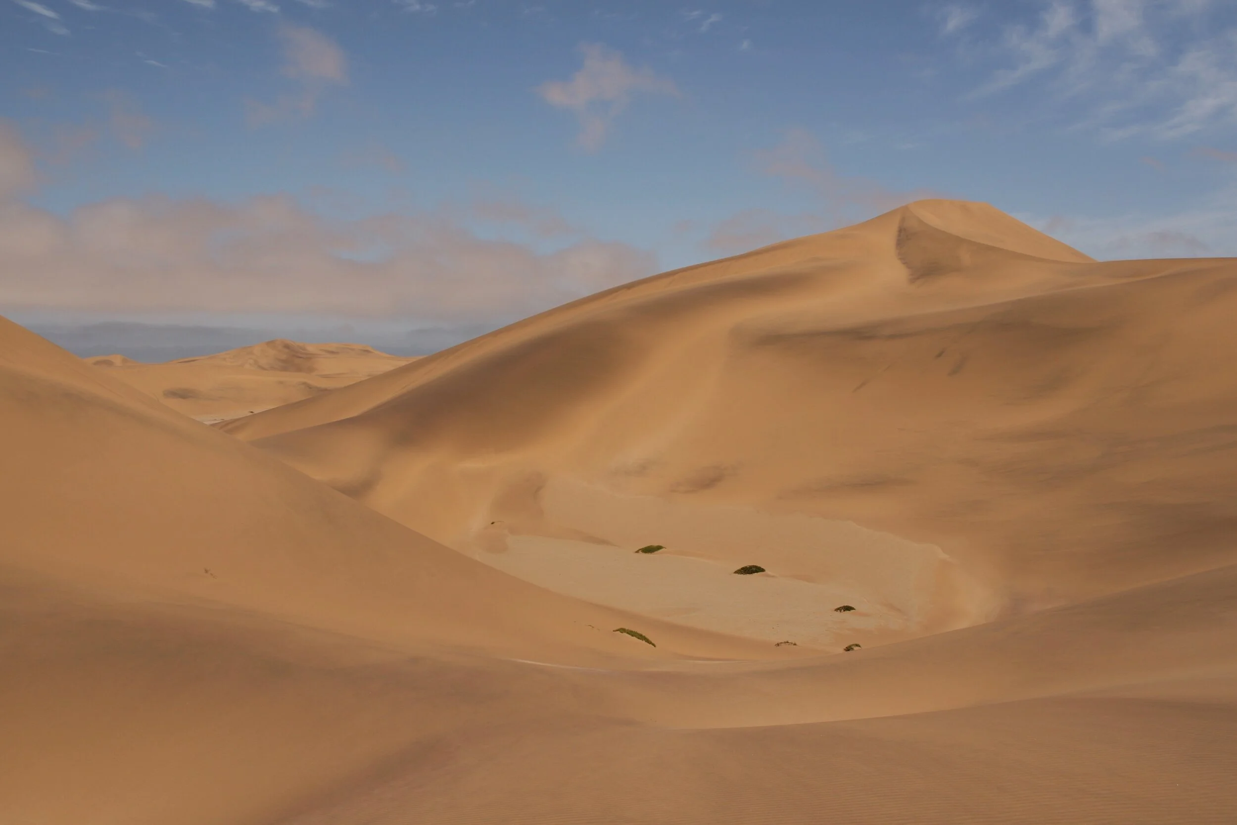 Namib desert.jpeg