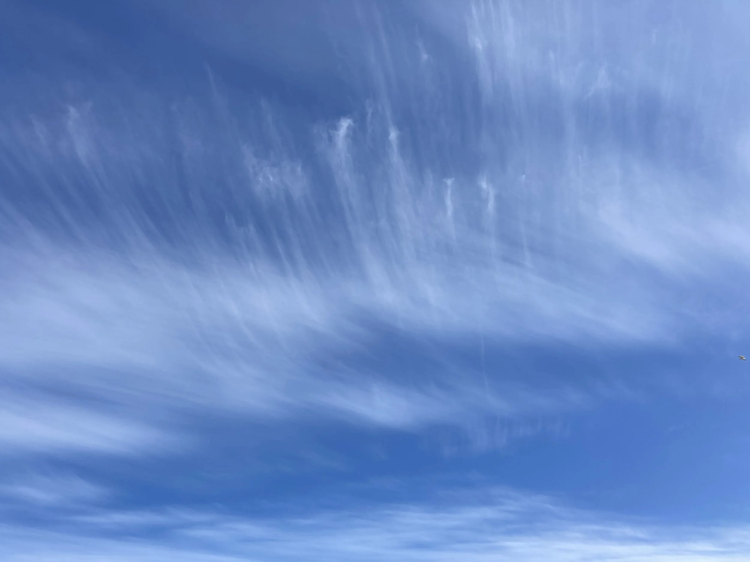 Blue sky with wisps.jpg