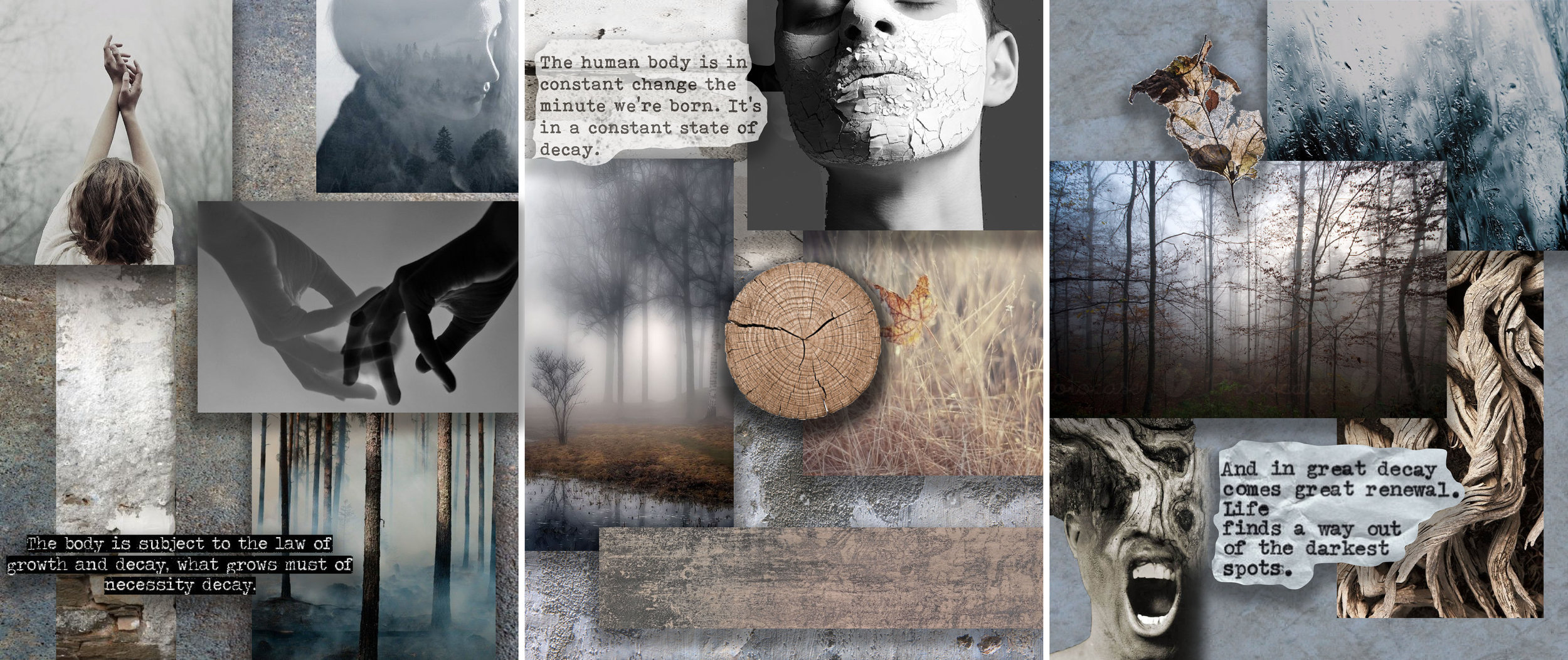 Mood Board all.jpg