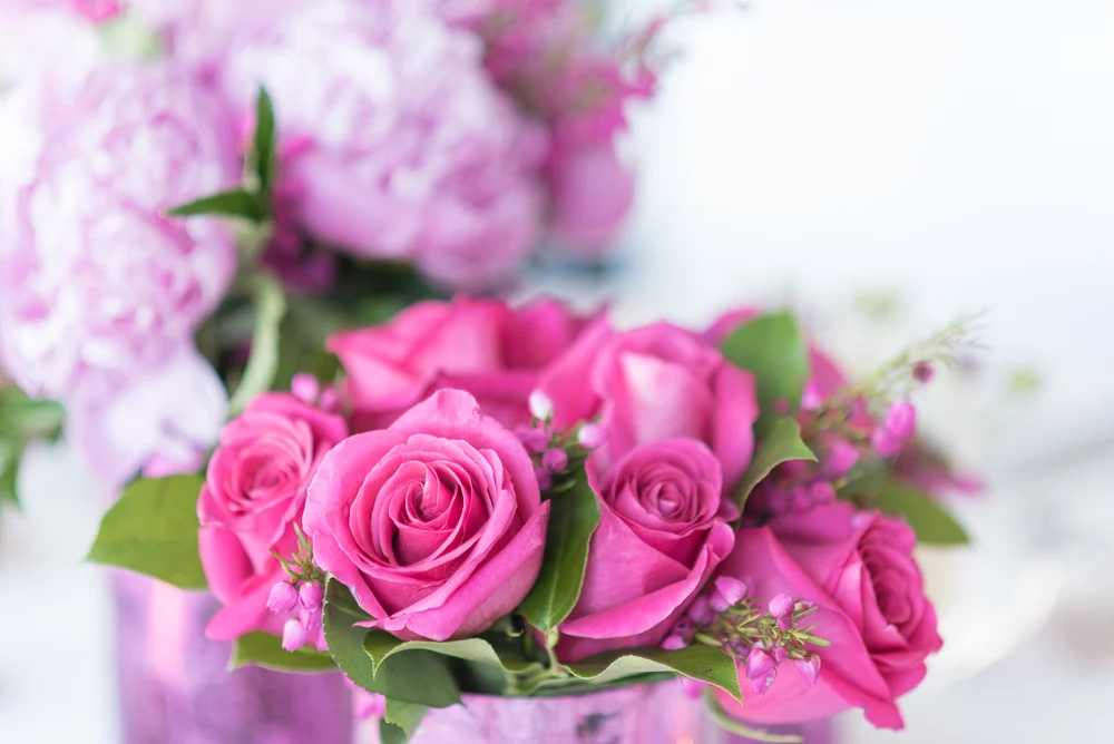 003_Evening_Pink_2019_WEB.jpg