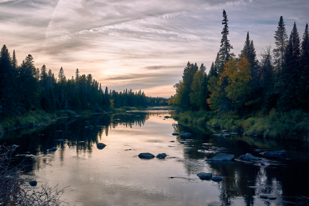MIRAMICHI REGION