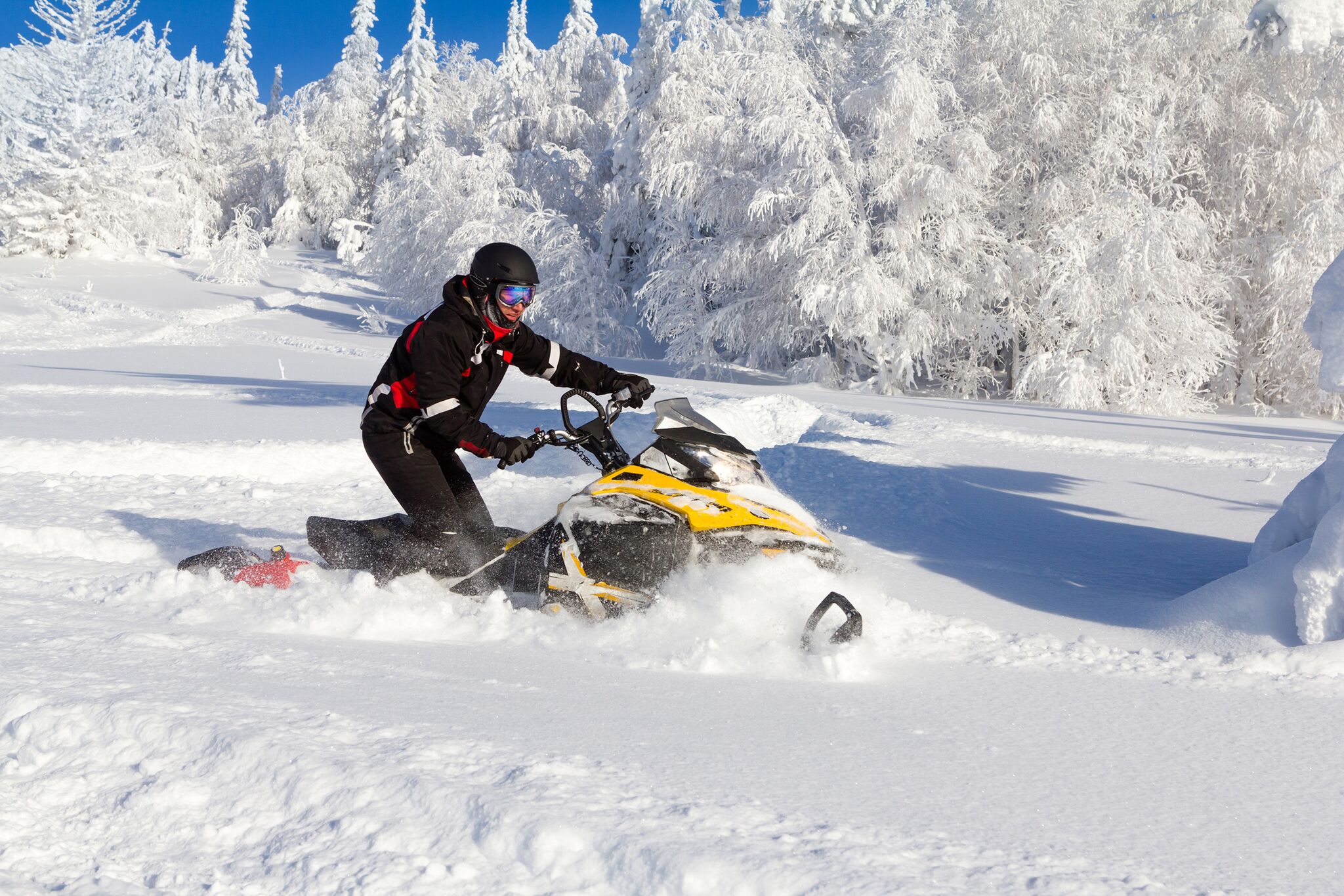 snowmobile.jpeg