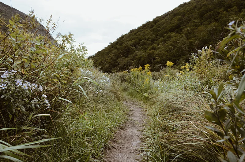 hiking_2.jpg