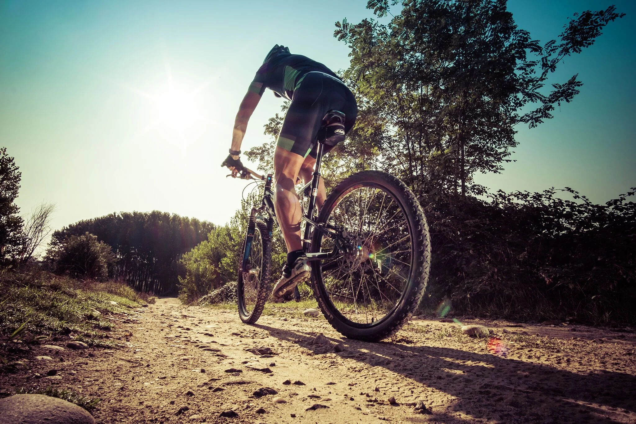 mountain_bike.jpeg