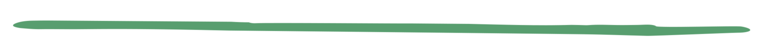 Divider-1.png
