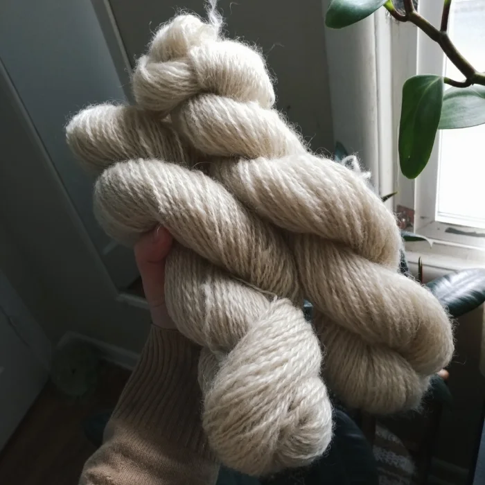 2018-04-11 06.28.21 1.jpg