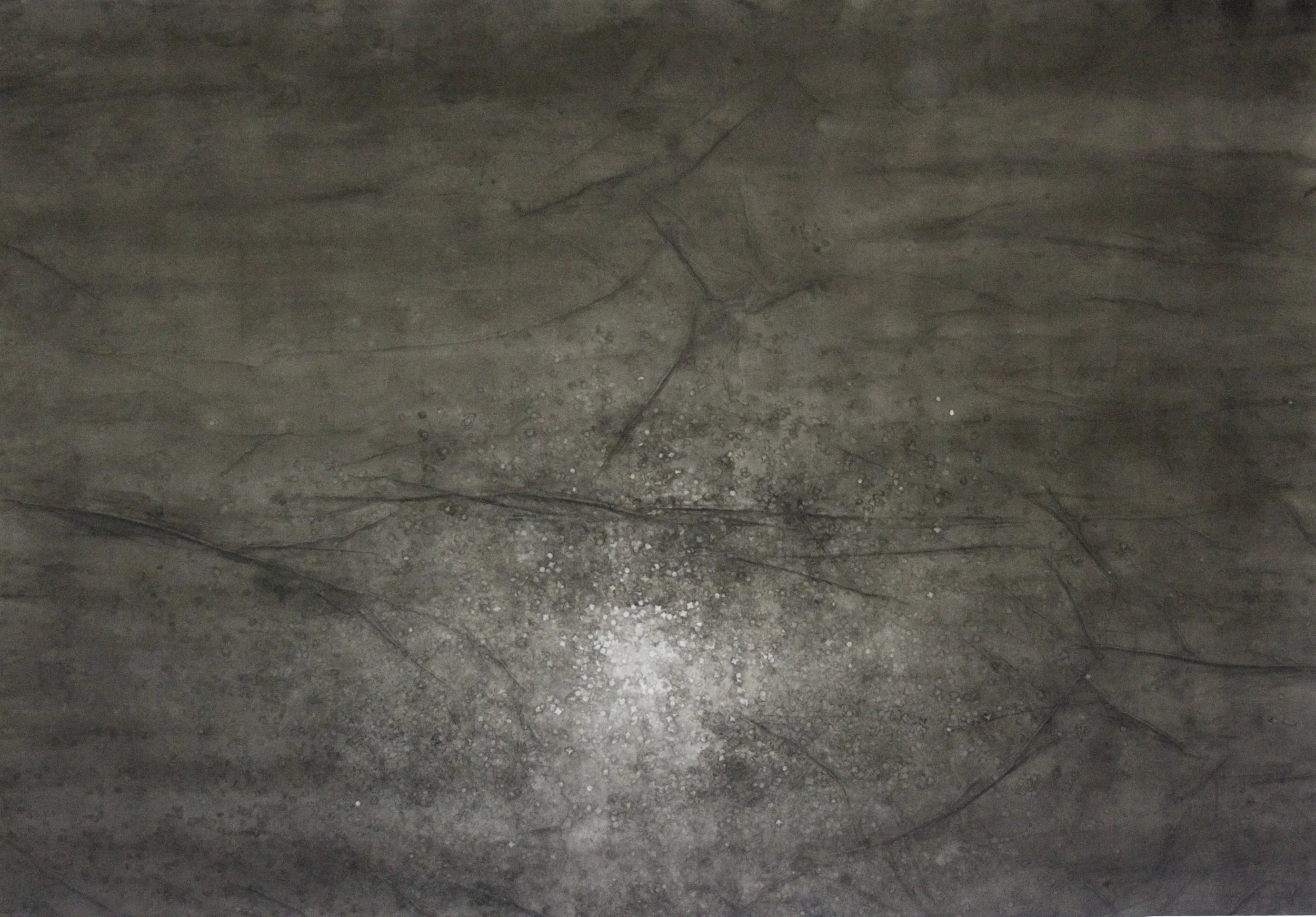 Grd Noir-Blc Ss Fd.jpg