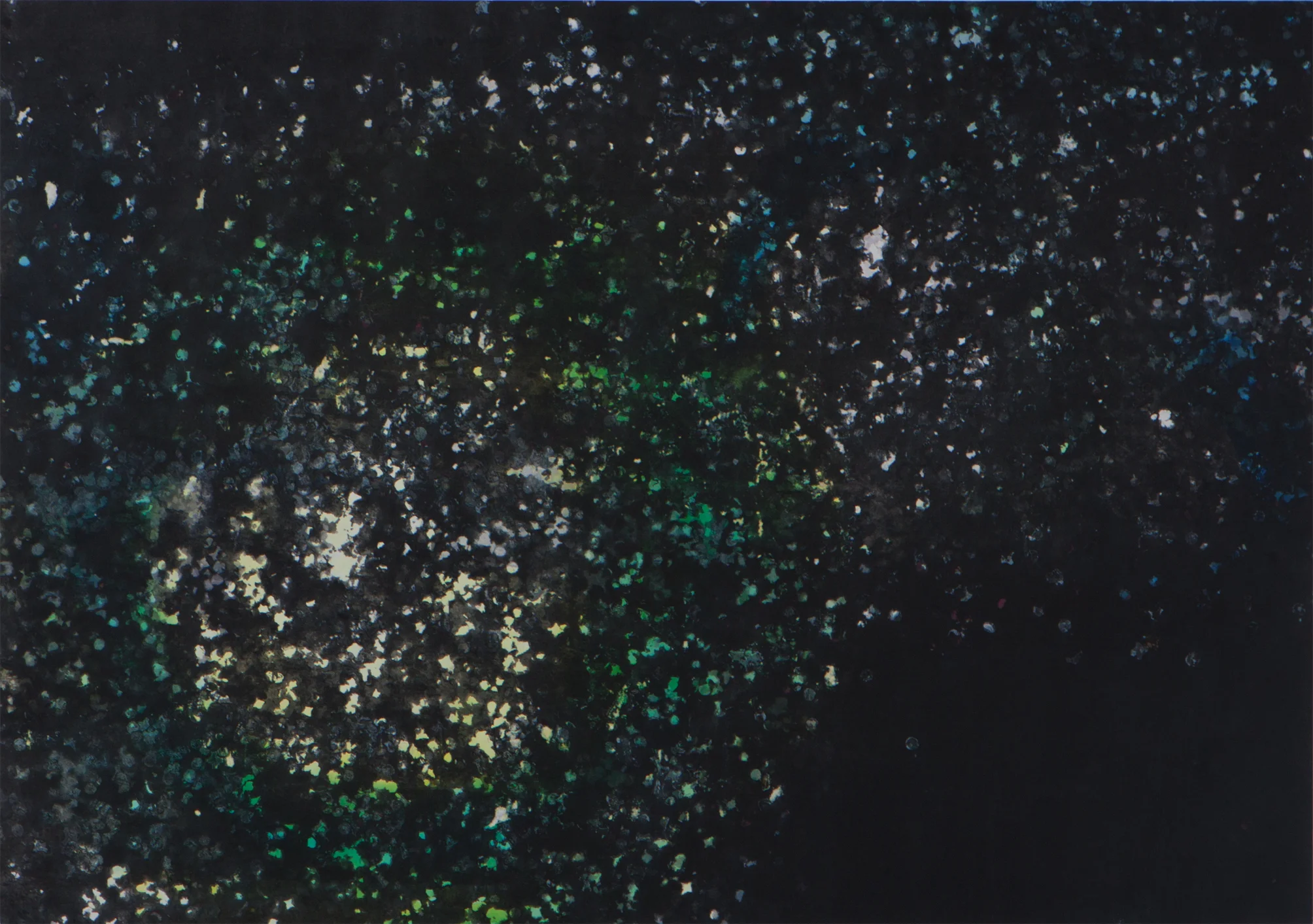 constellation Noir Ss Fd.jpg