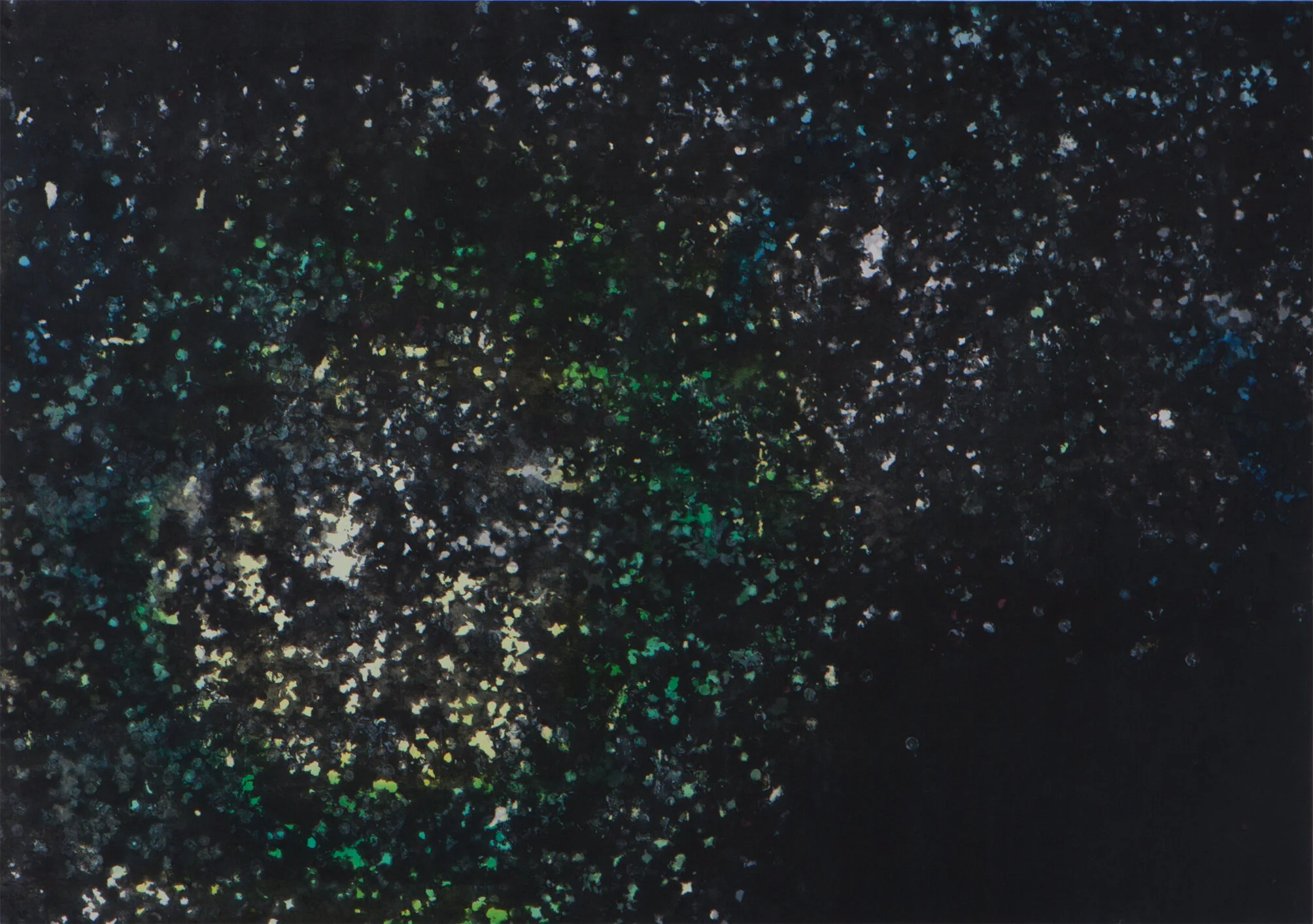 «Champs», ink/confetti on paper, 1×0.72m 