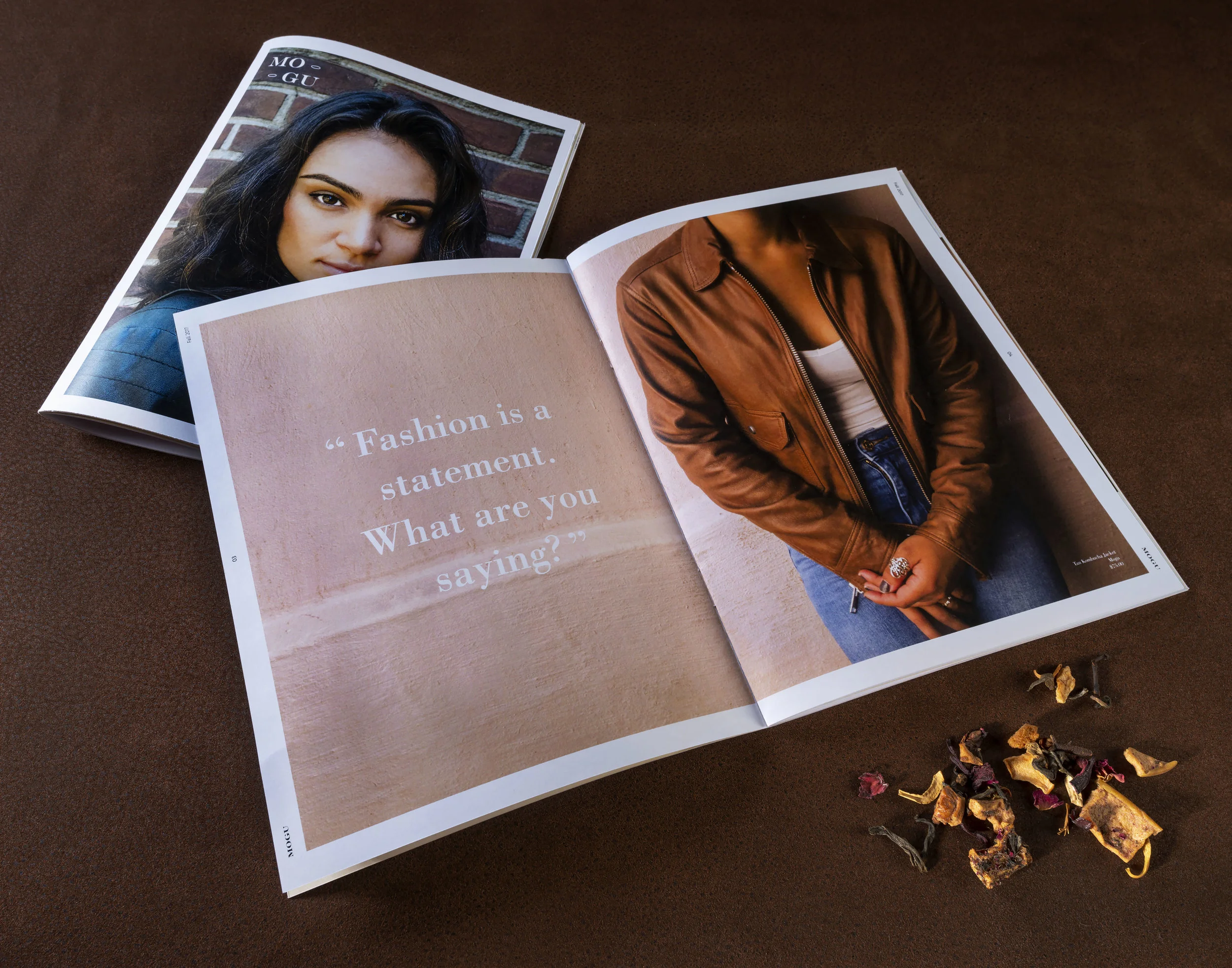 MoGu magazine spread_close_working.jpg