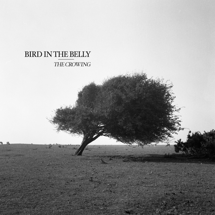 The Crowing
