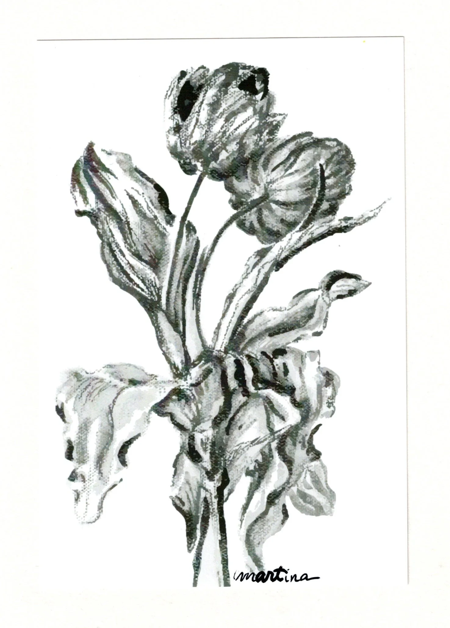 B&W Tulip Card Scan.jpg