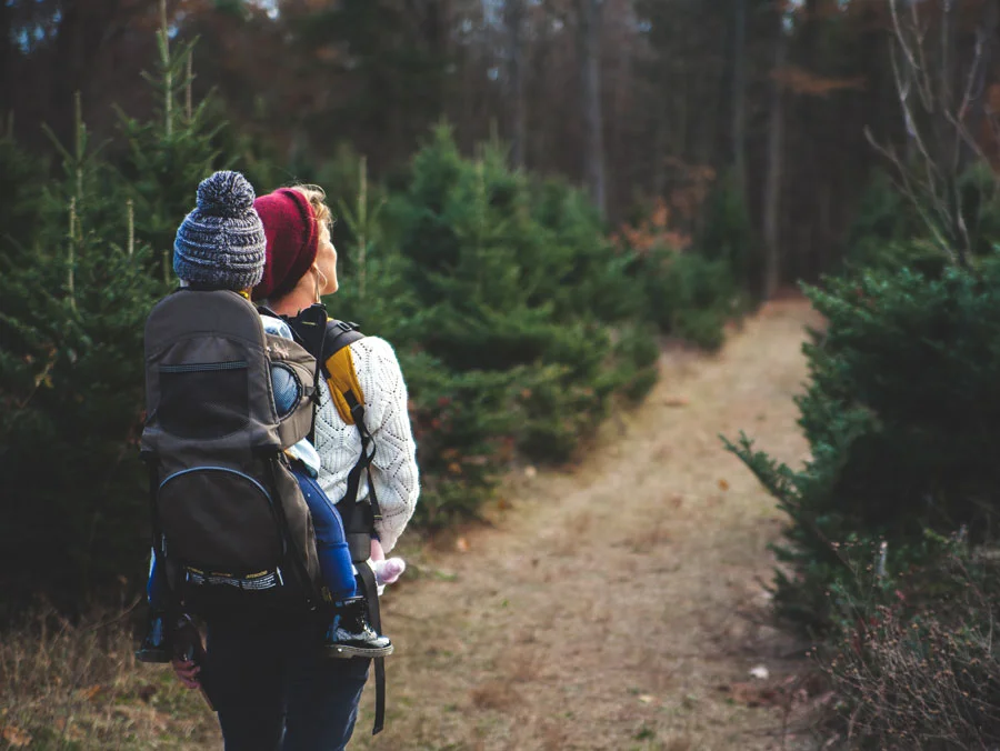 Evergreen Acupuncture Cupping Services