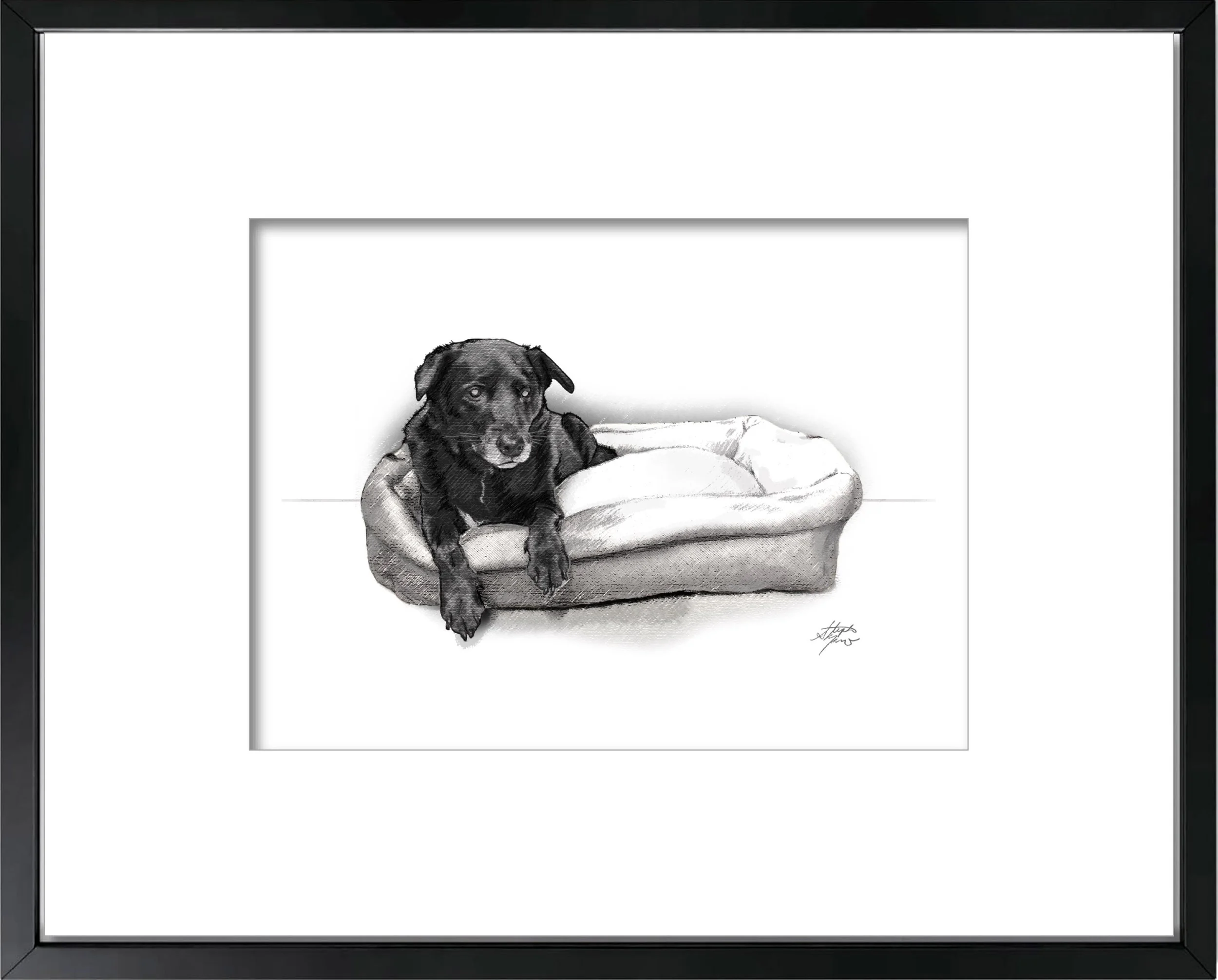 B E L L A : Graphite | Digital