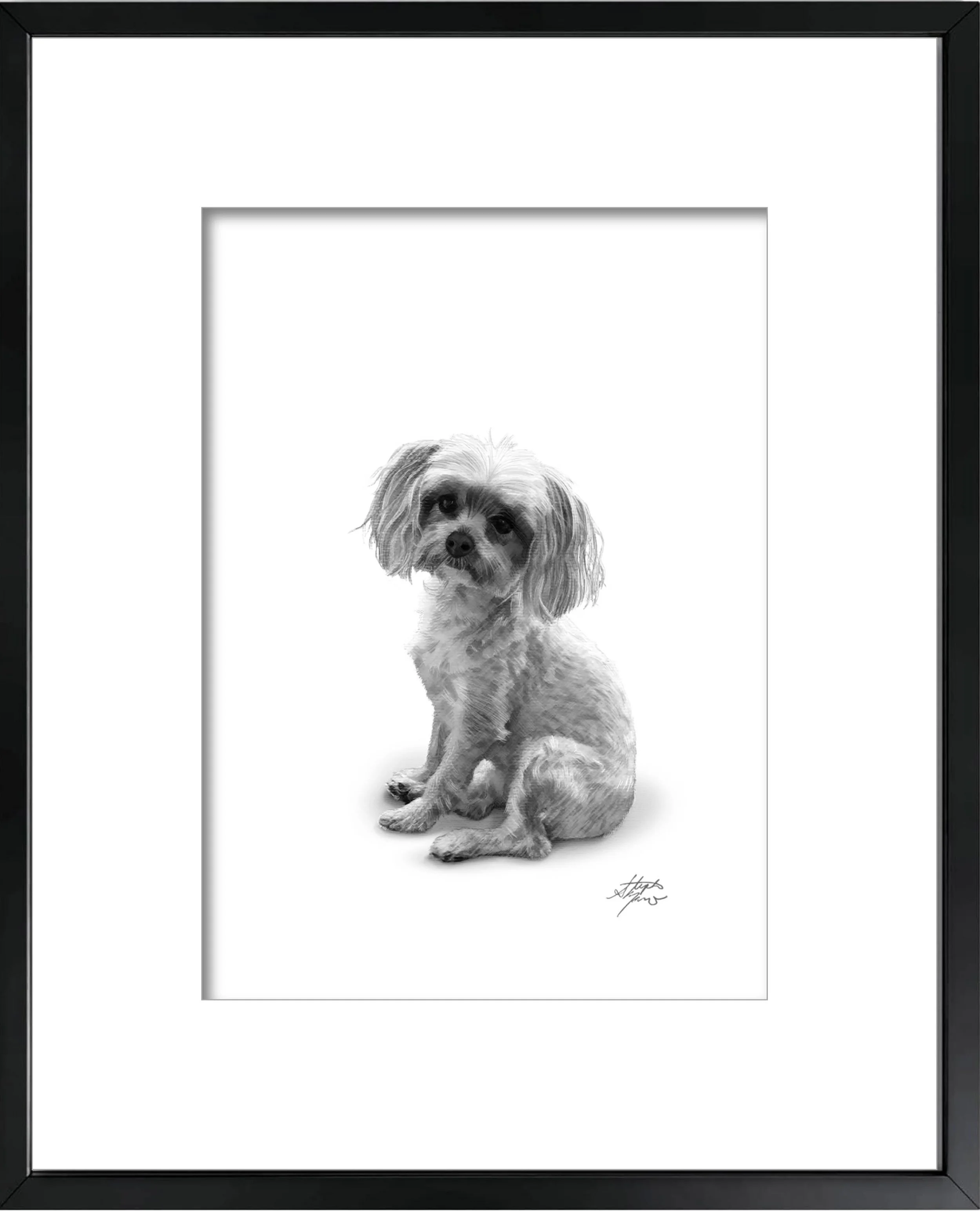 C O C O : Graphite | Digital