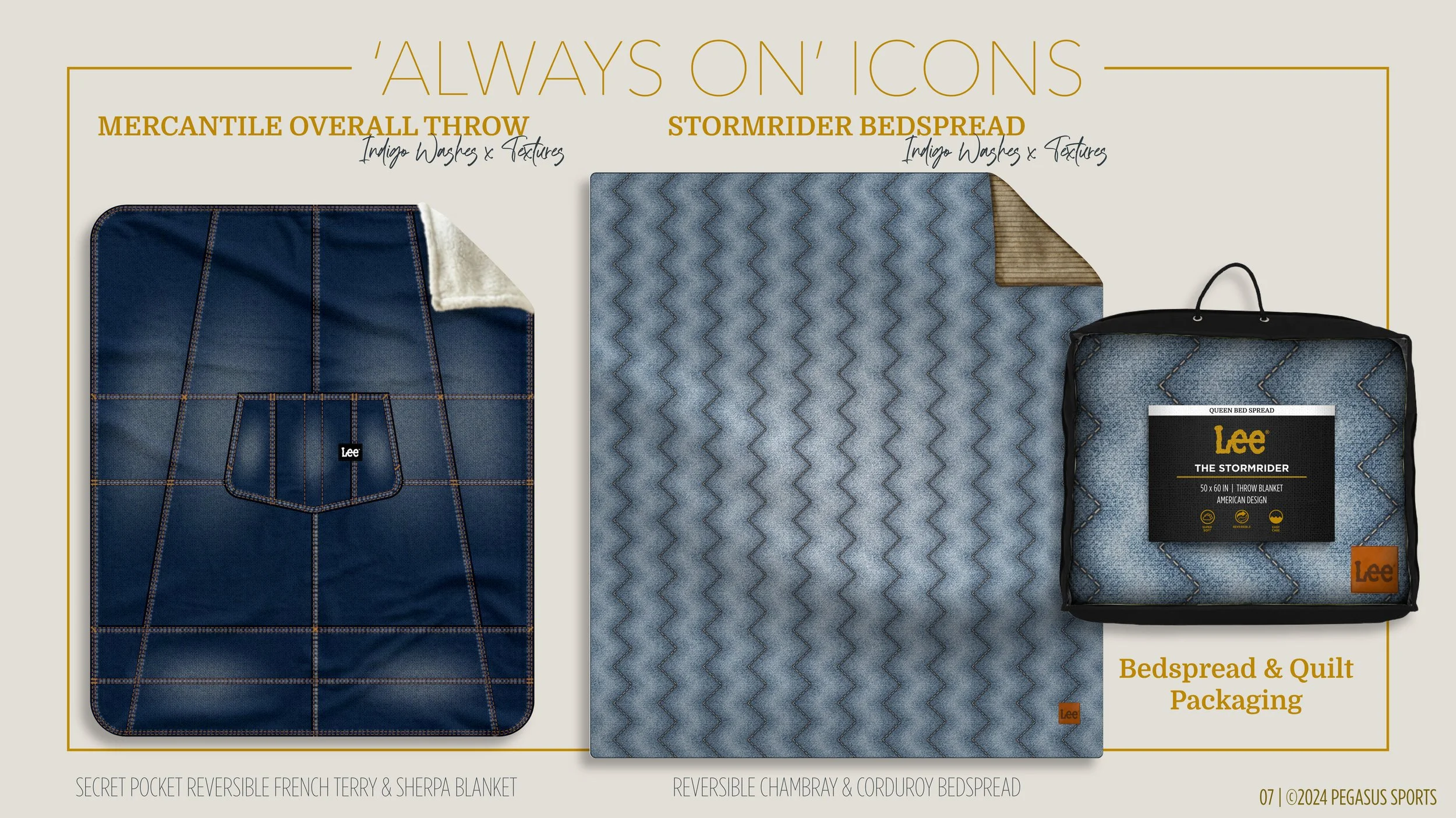 PEGASUS X LEE PROPOSAL_16x9_E4-07.jpg