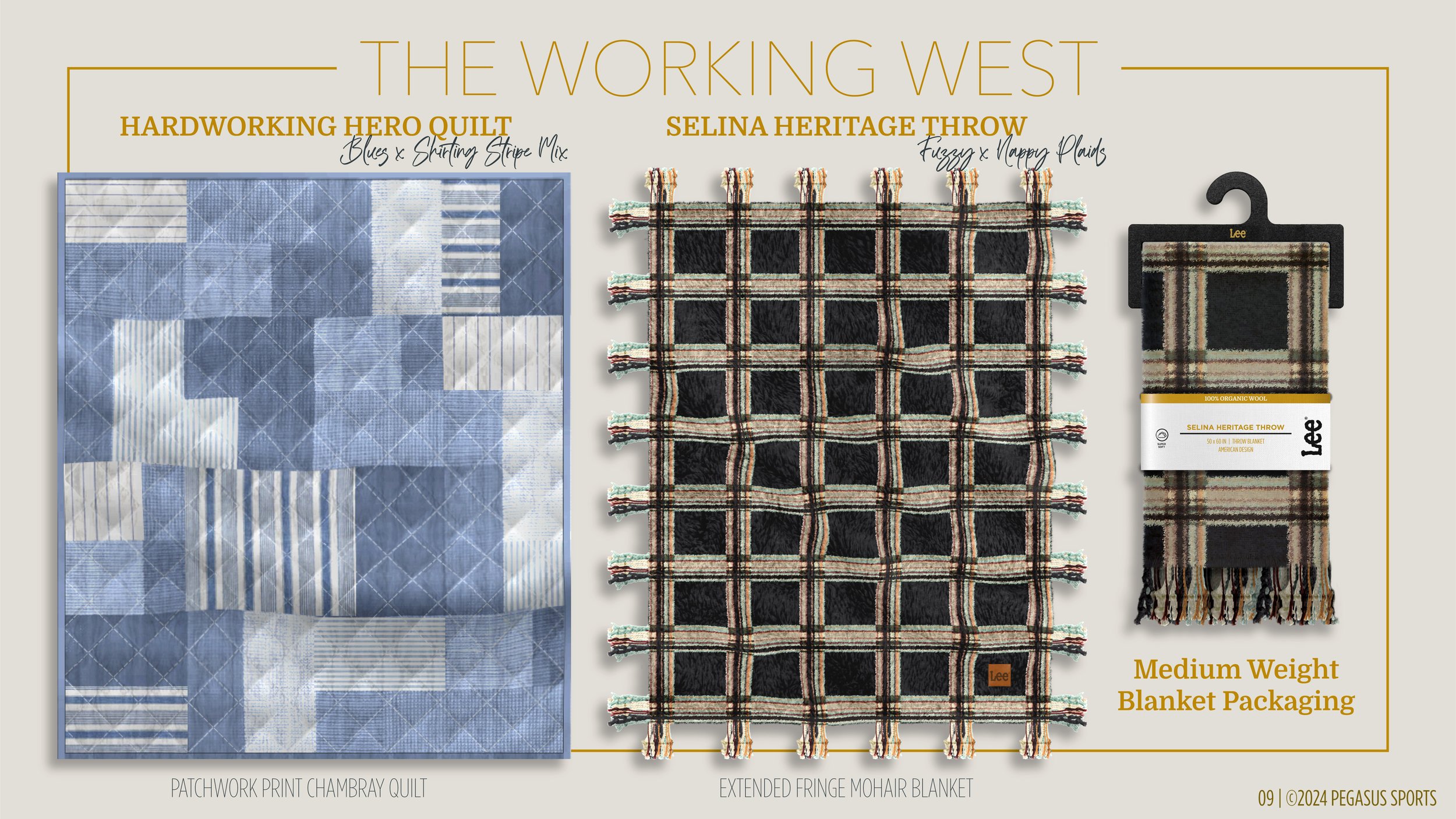 PEGASUS X LEE PROPOSAL_16x9_E4-09.jpg