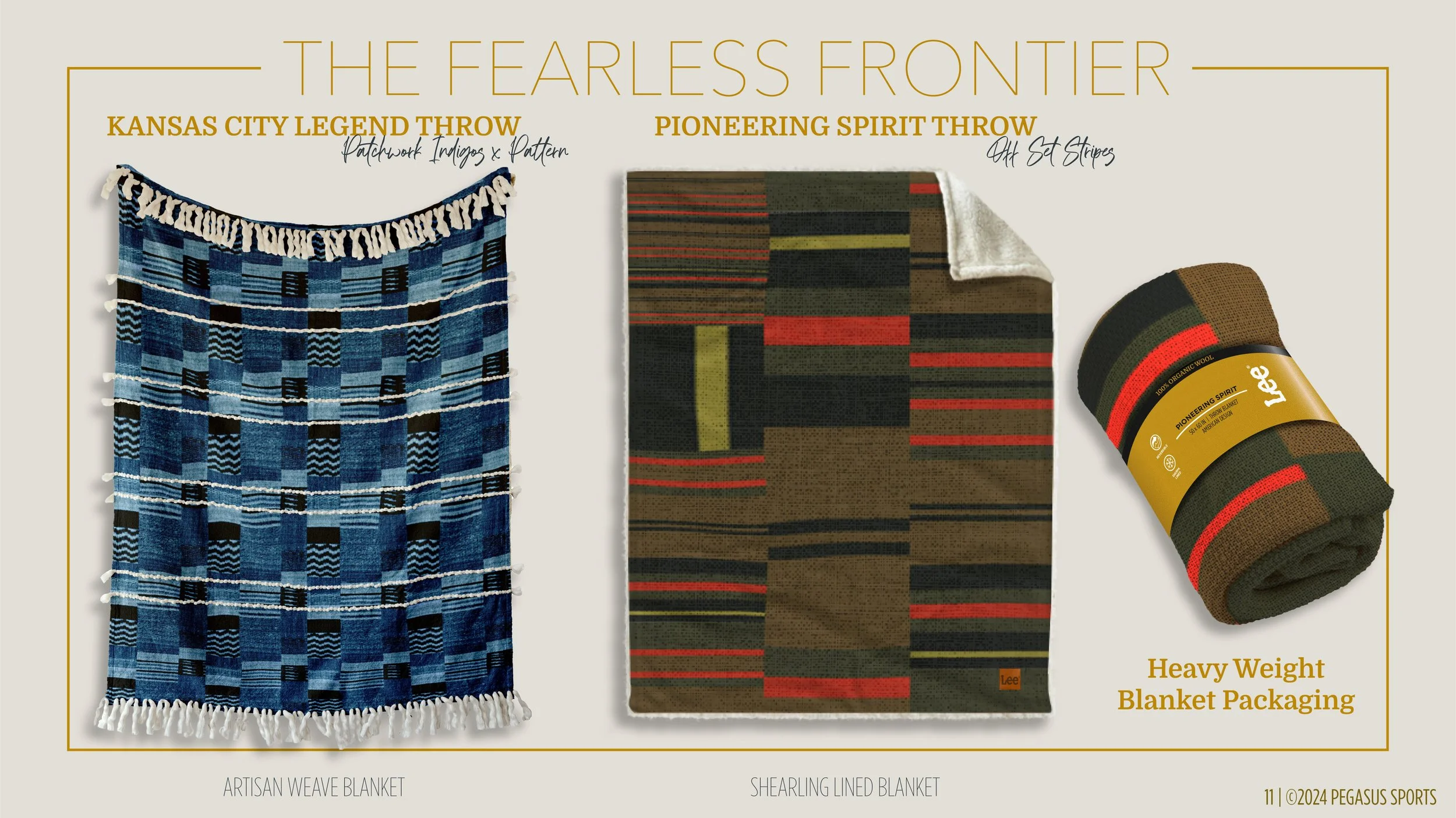 PEGASUS X LEE PROPOSAL_16x9_E4-11.jpg