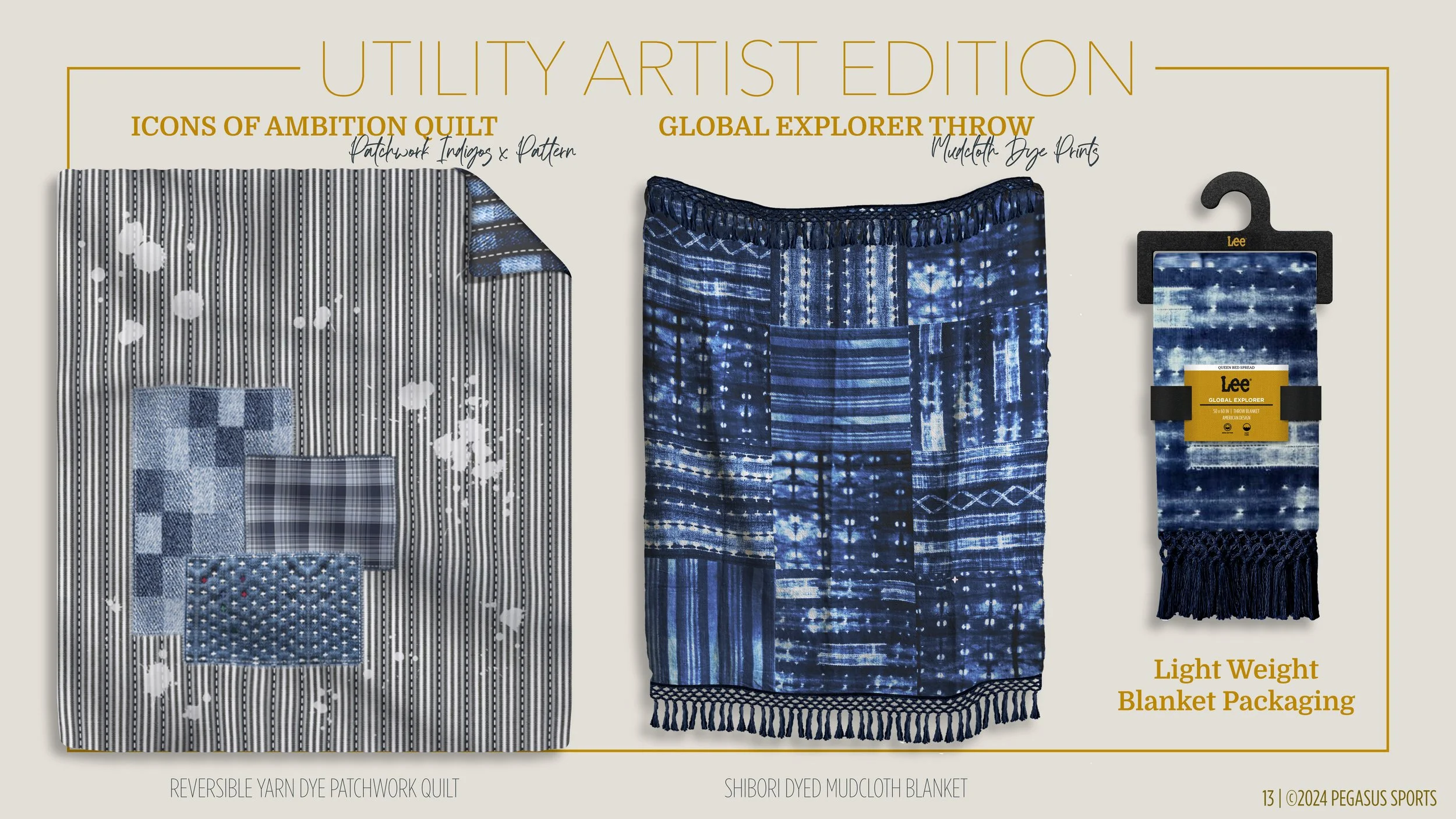 PEGASUS X LEE PROPOSAL_16x9_E4-13.jpg