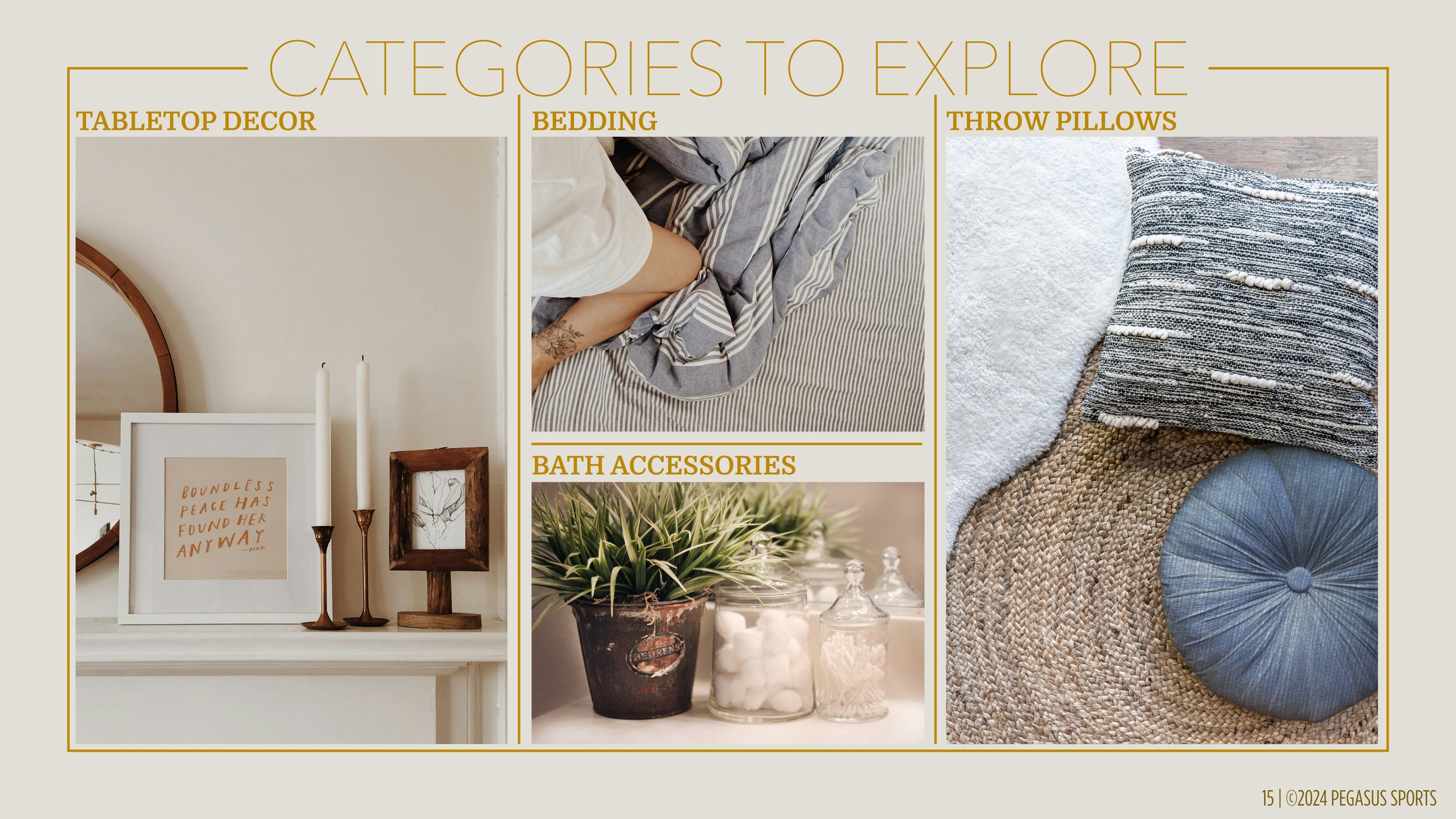 PEGASUS X LEE PROPOSAL_16x9_E4-15.jpg