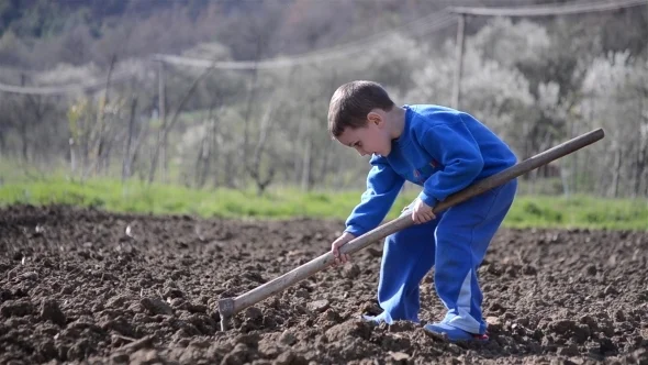 little-boy-digging-1-3666b