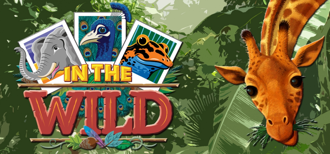 Get Wild At Summer Camp