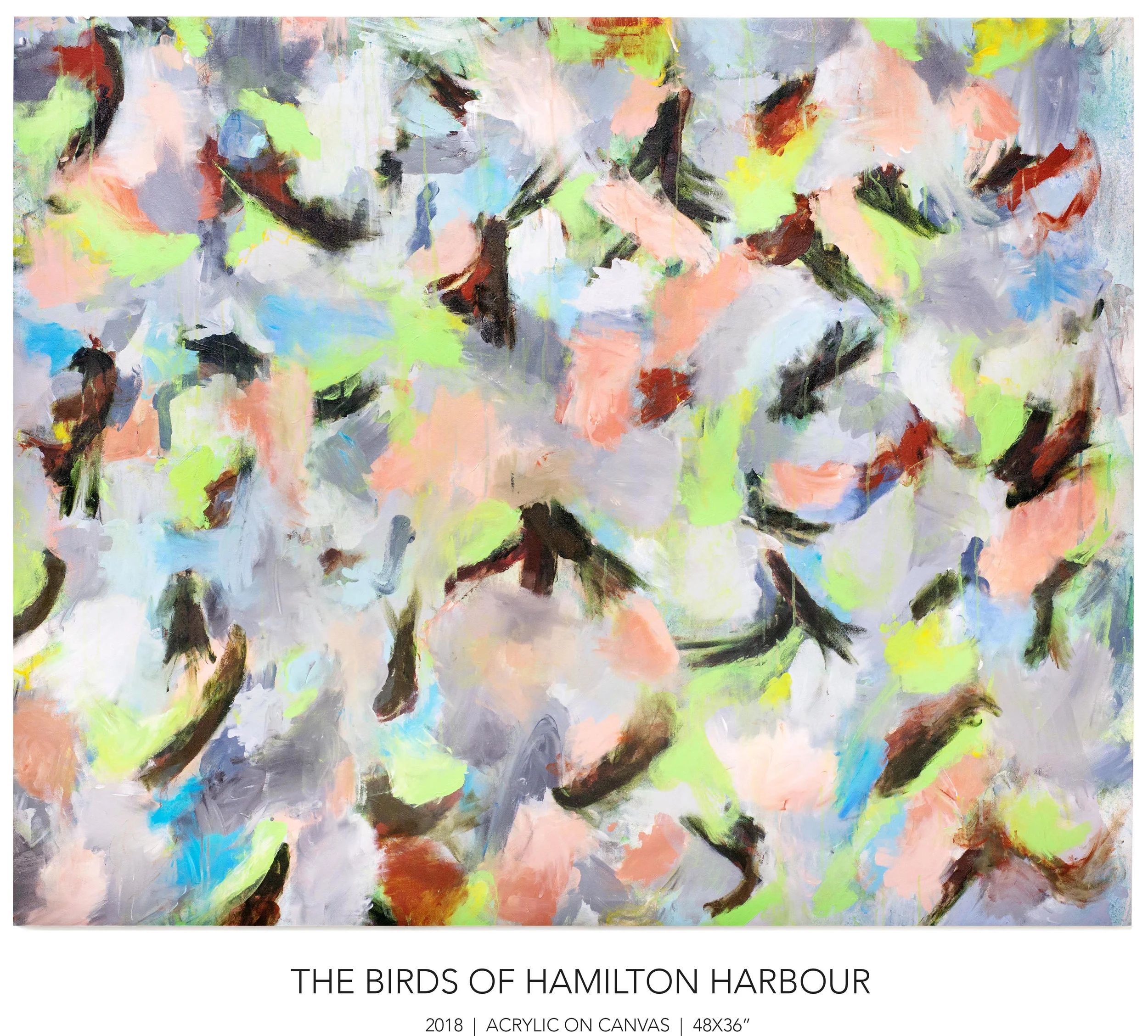 THE BRIDS OF HAMILTON HARBOUR.jpg