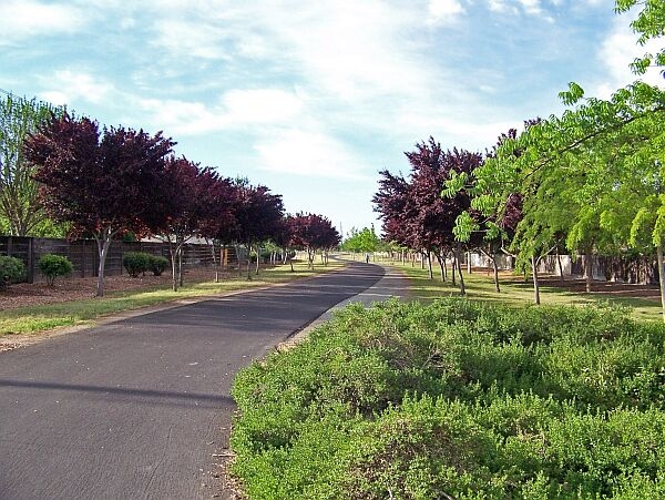 Manteca Greenline