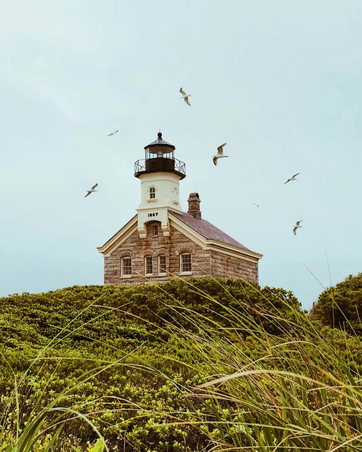 northwestlight.jpg