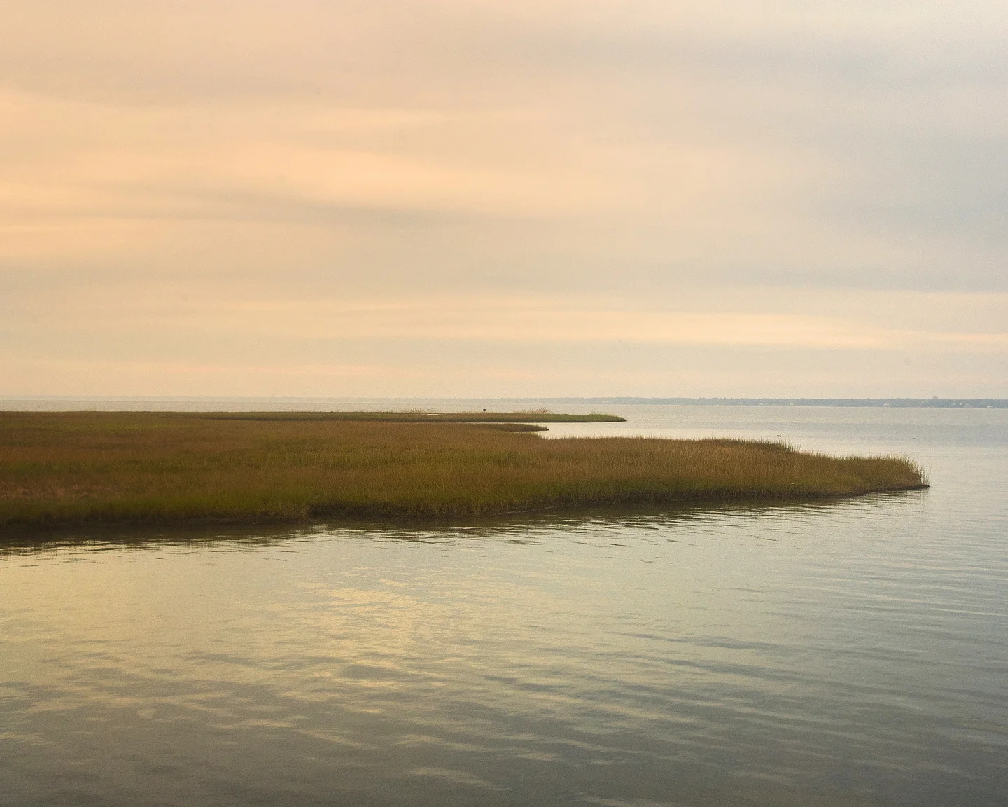Molasses Point