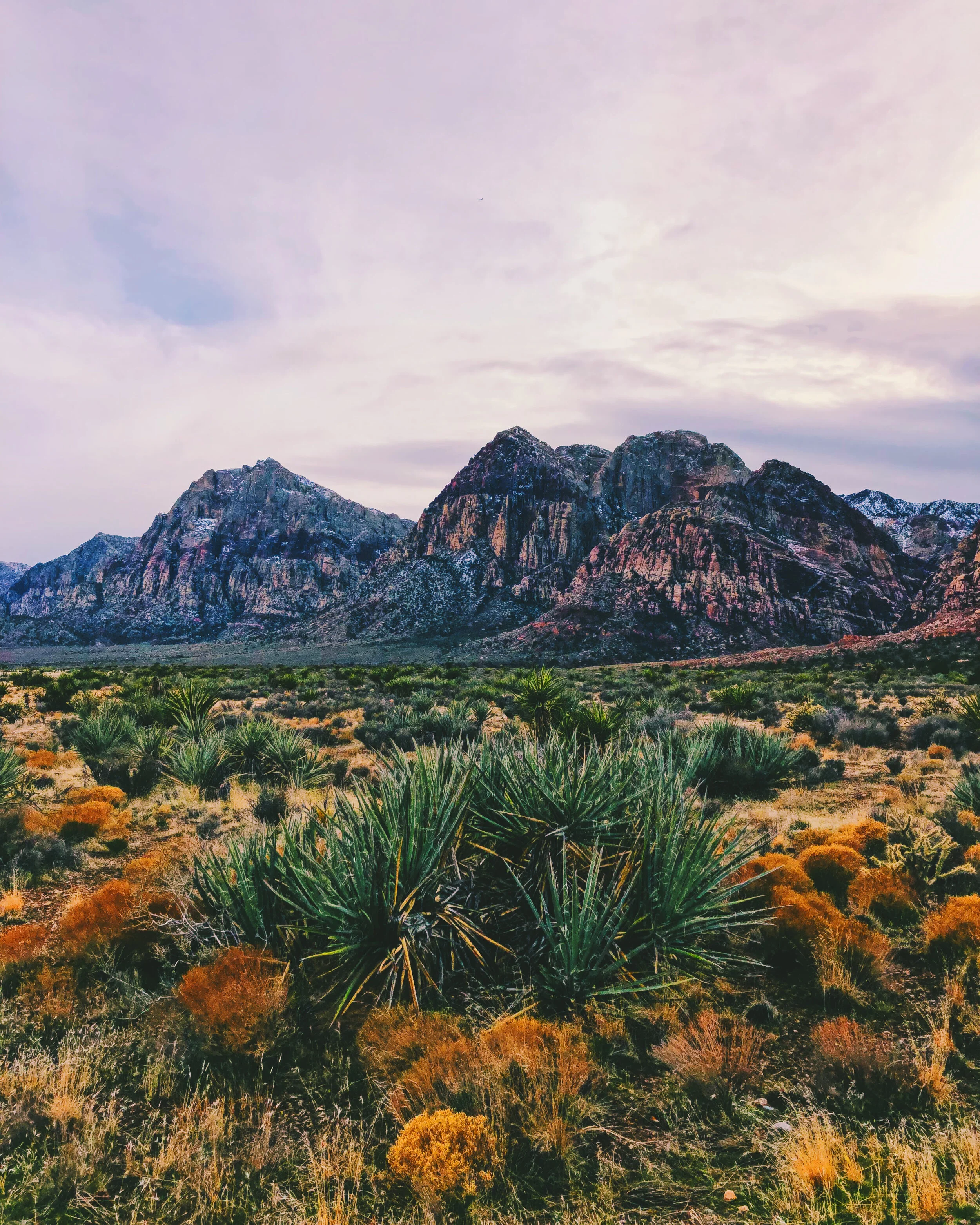 mojave.jpg