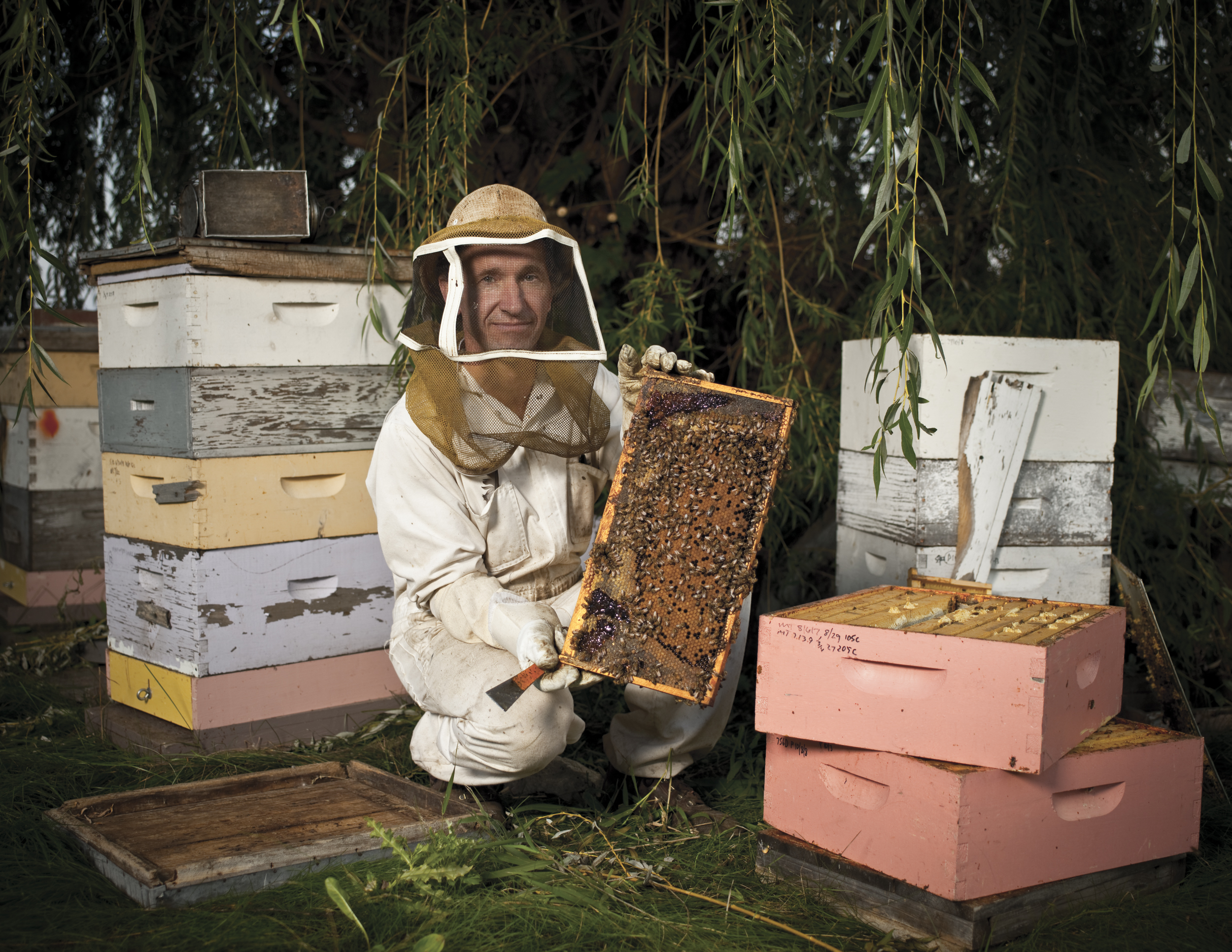 beekeeper_0138Final22x44.jpg