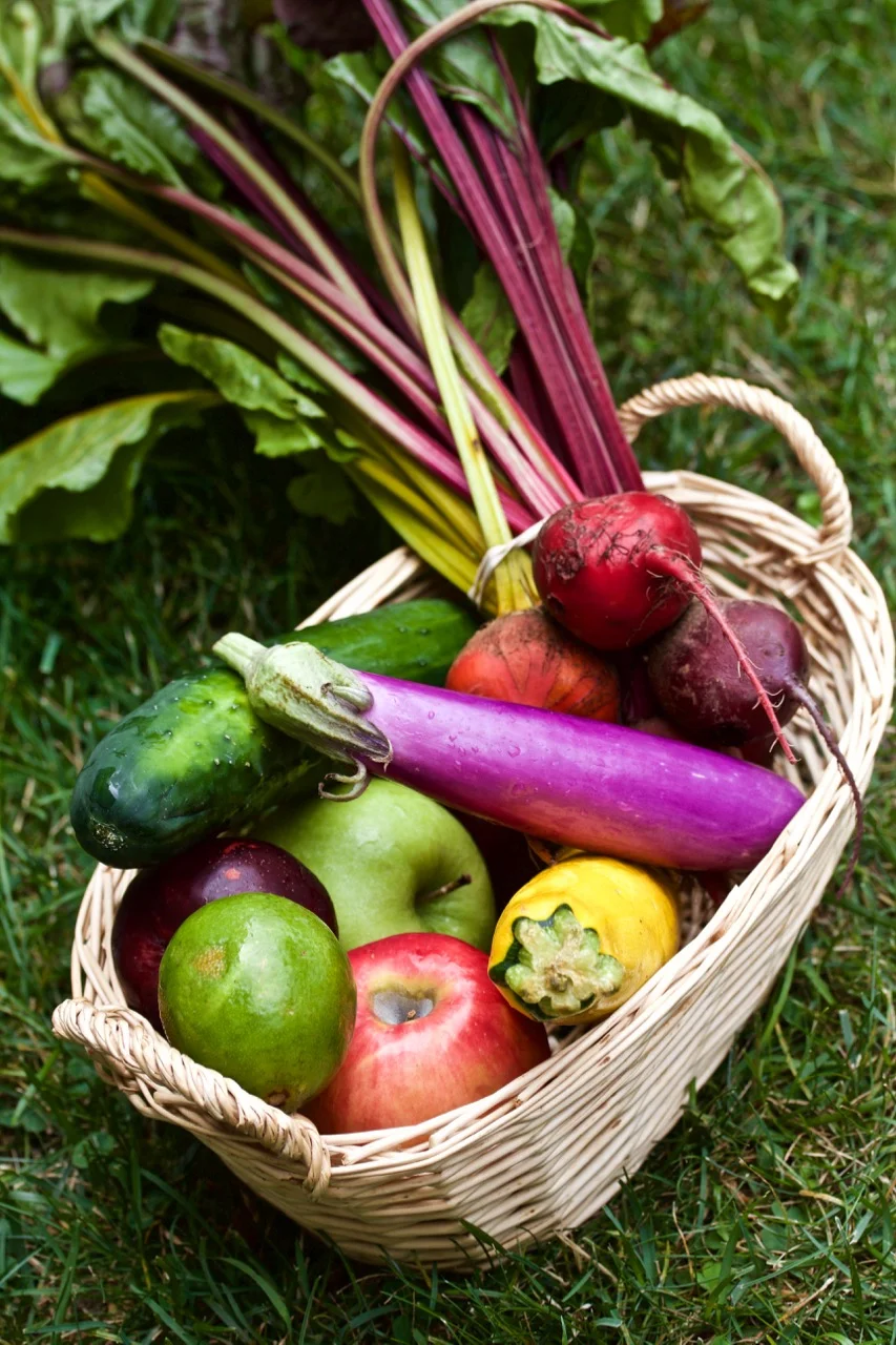 FARM DONATED PRODUCE AT FOOD PANTRY