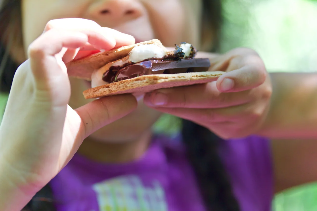 CAMP LIFE - S'MORES