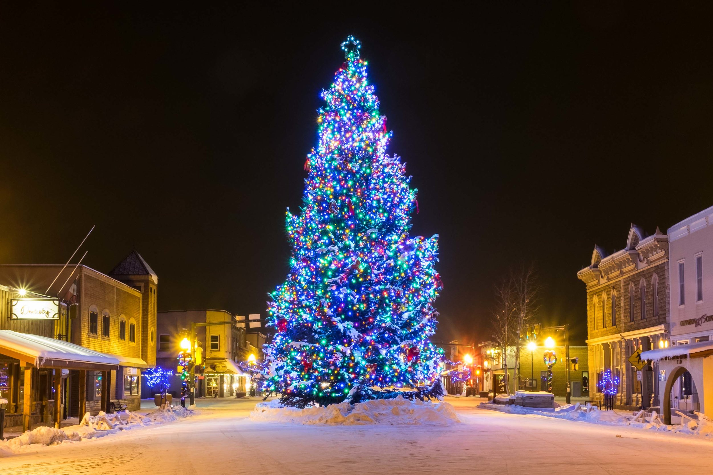 Gunnison Christmas Tree