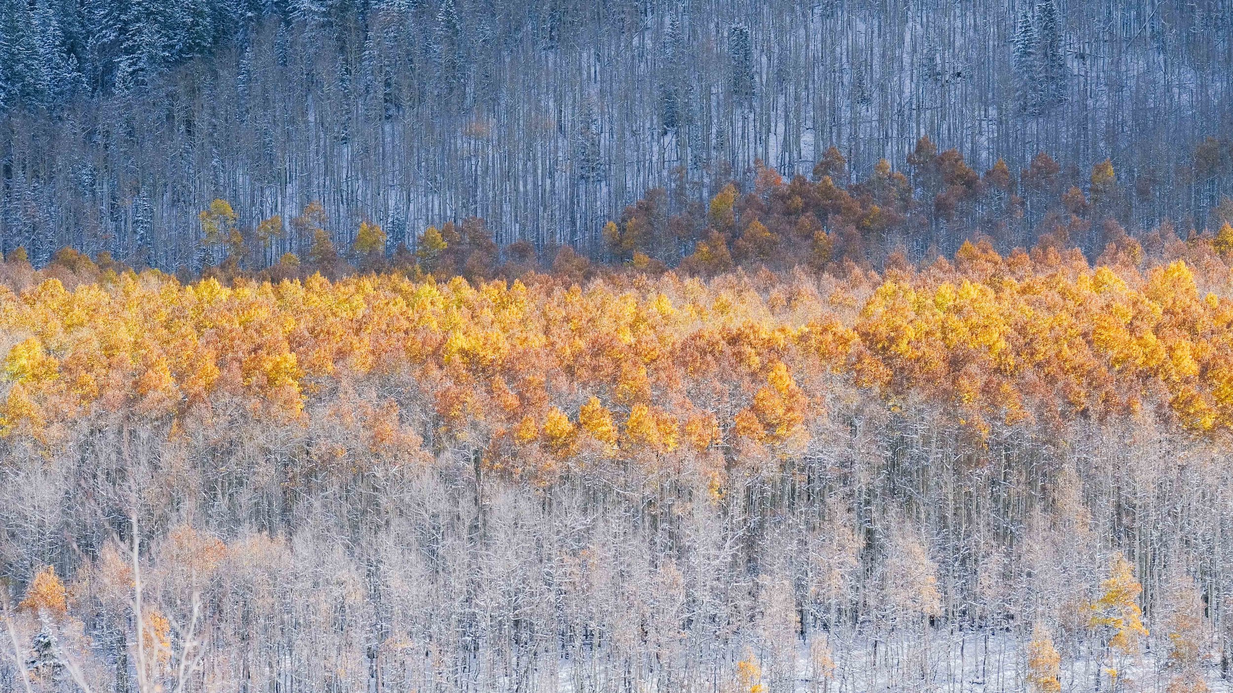 First Snow on Kenosha Pass